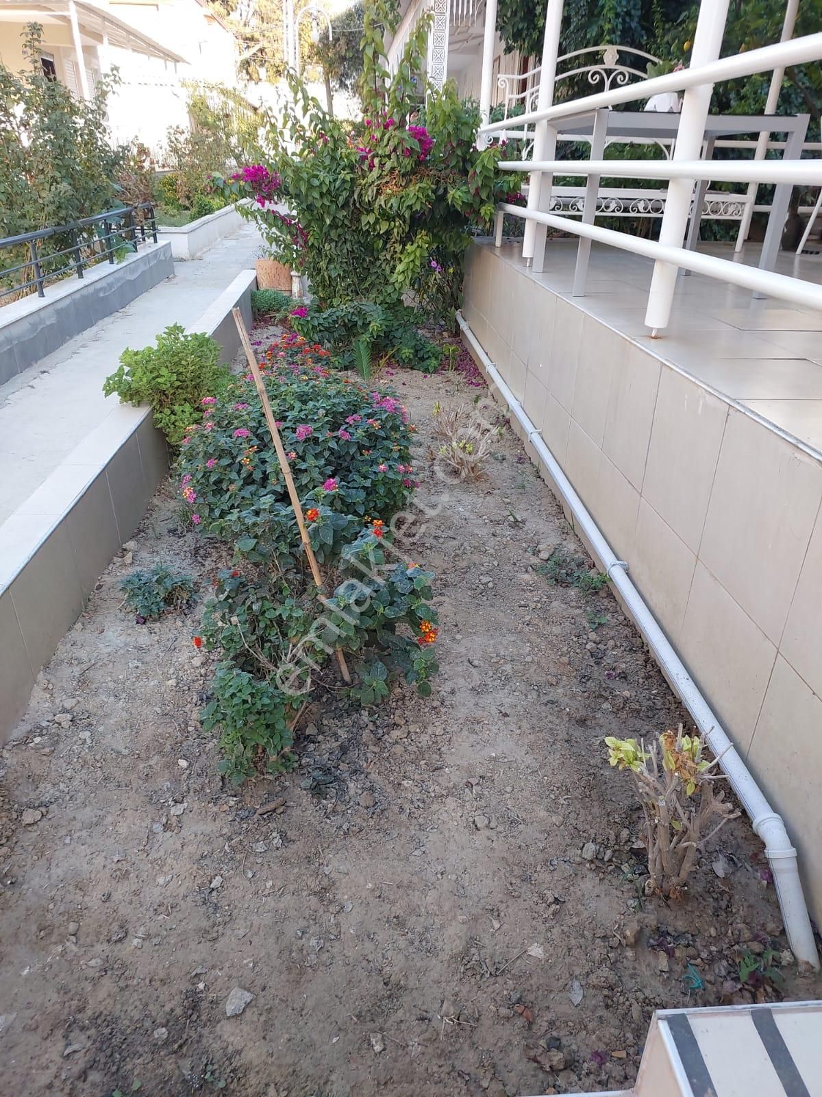 Karaova'da Denize 100 Metre Yazlık - Görsel 3