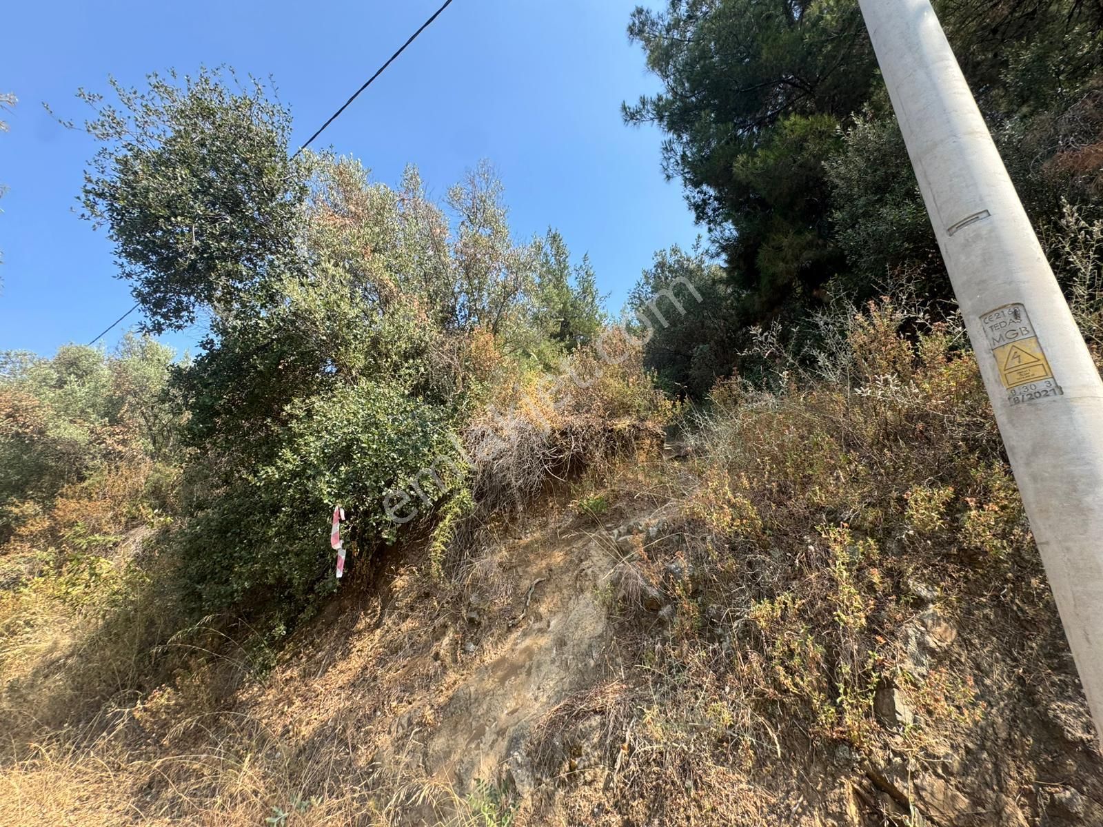 Tırpan Gayrimenkulden Kumyaka'da 2000m2 Deniz Manzaralı Satılık Zeytinlik - Görsel 9