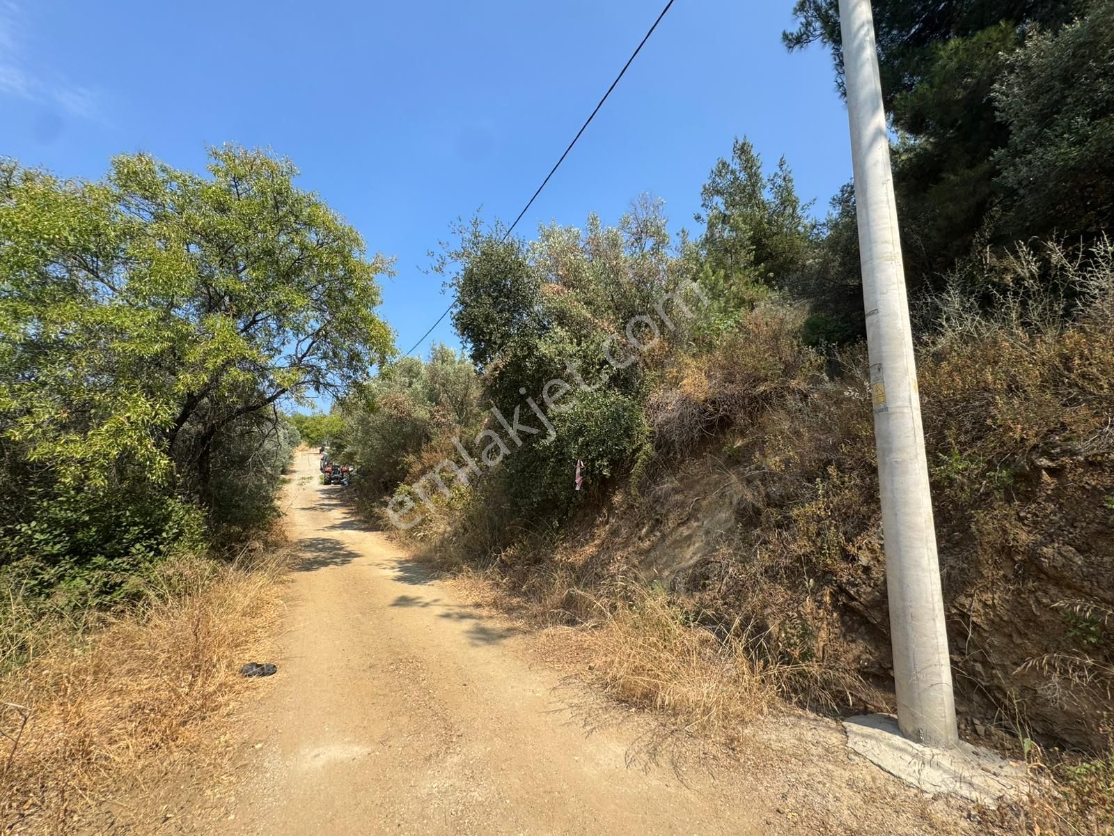 Tırpan Gayrimenkulden Kumyaka'da 2000m2 Deniz Manzaralı Satılık Zeytinlik - Görsel 25