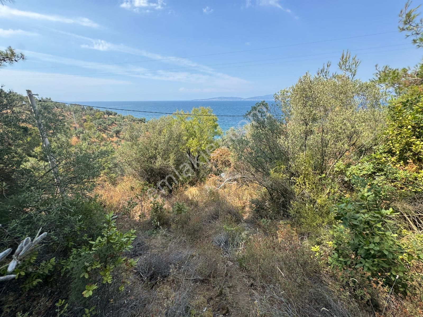 Tırpan Gayrimenkulden Kumyaka'da 2000m2 Deniz Manzaralı Satılık Zeytinlik - Görsel 21