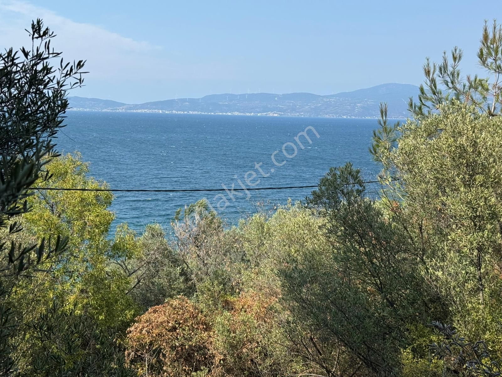 Tırpan Gayrimenkulden Kumyaka'da 2000m2 Deniz Manzaralı Satılık Zeytinlik - Görsel 20