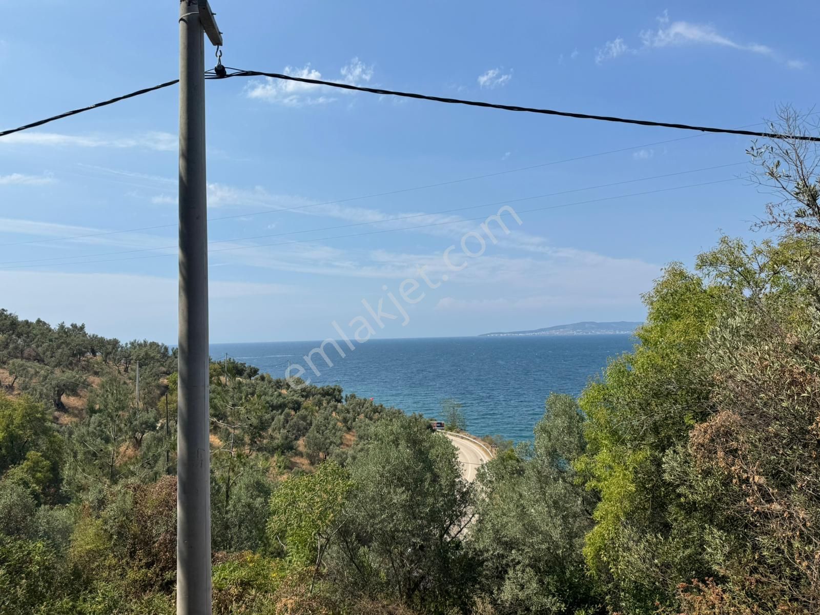 Tırpan Gayrimenkulden Kumyaka'da 2000m2 Deniz Manzaralı Satılık Zeytinlik - Görsel 15