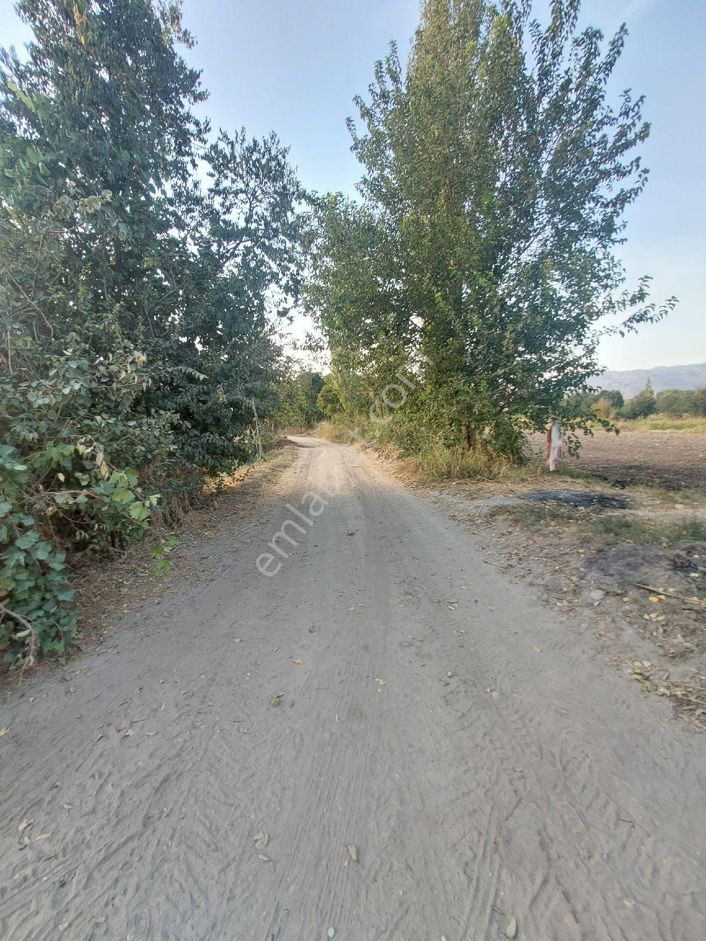 Doğru Gayrımenkulden Bozdoğan Yyazıkentte 11300 Metre - Görsel 11