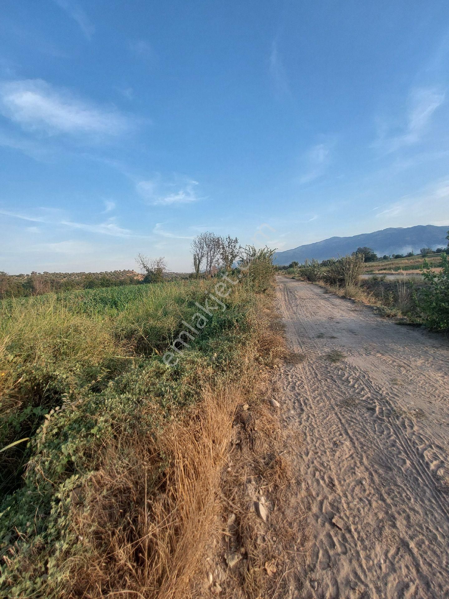 Doğru Gayrımenkulden Bozdoğan Yyazıkentte 11300 Metre - Görsel 15