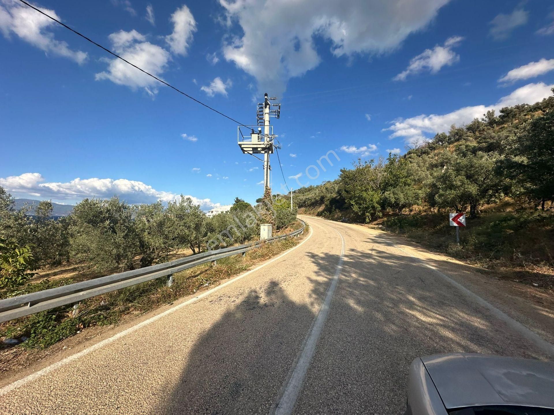 Tırpan Gayrimenkulden Kumyaka^da Asfalta Cephe 6 Dönüm Satılık Zeytinlik - Görsel 12