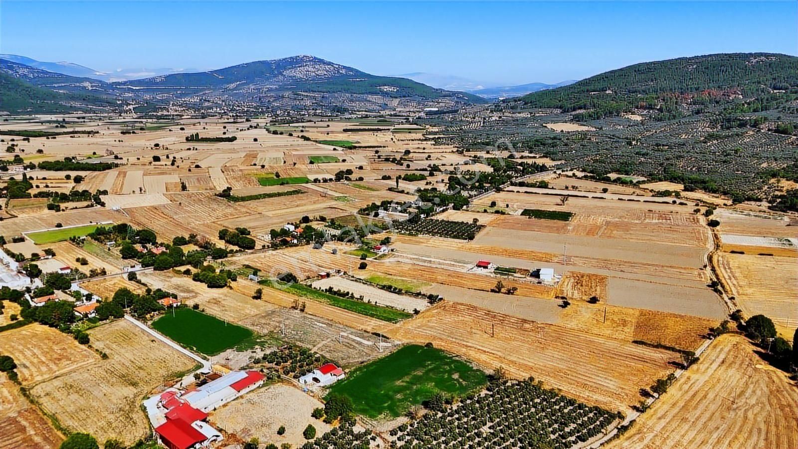 Cb Marina'dan Yeşilyurt'ta Yola Sıfır İmara Yakın "tarla" - Görsel 29