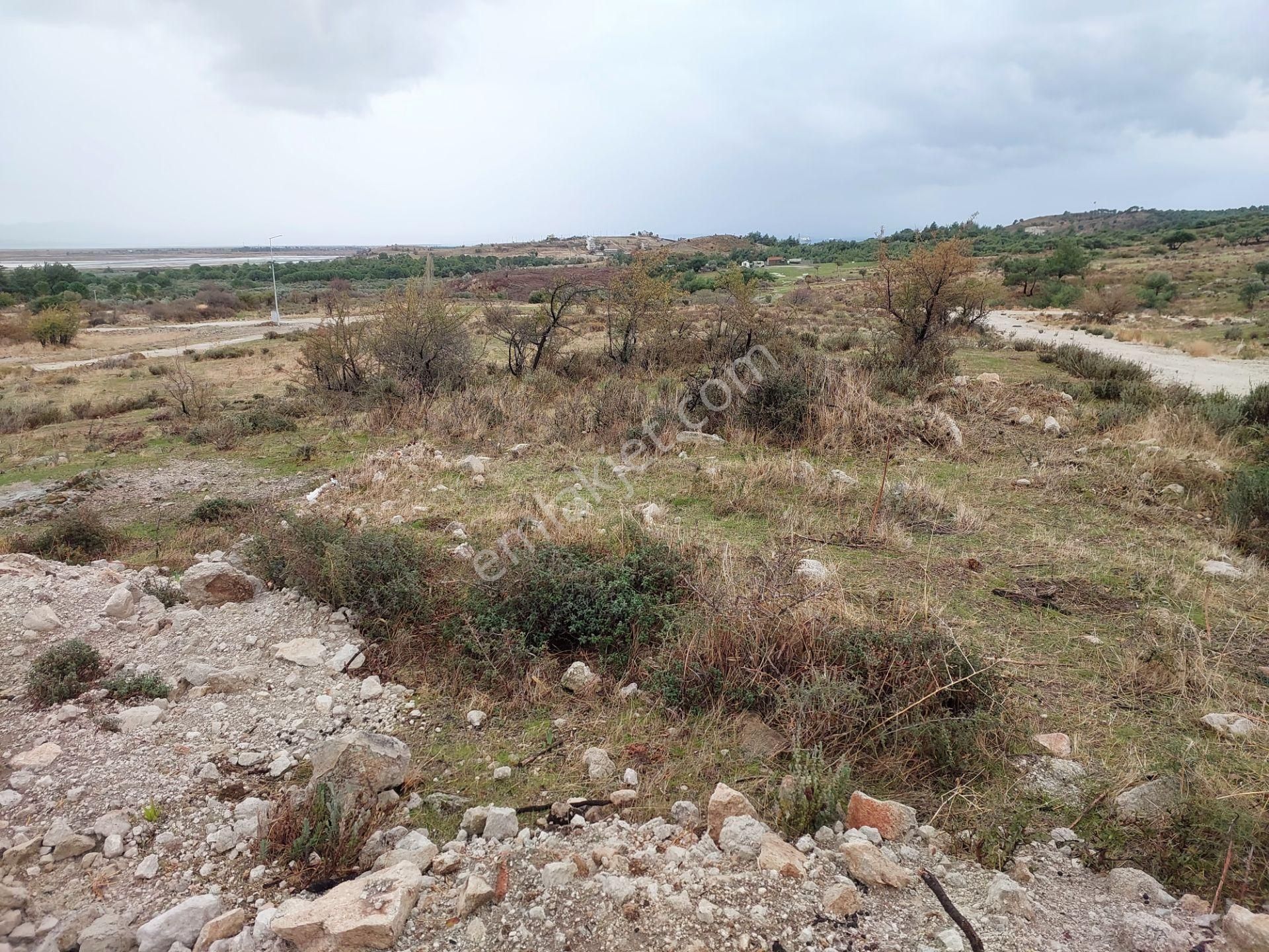 Dikili Çandarlıda Satılık Kooperatif Hisseli 603m2 Arsa - Görsel 7