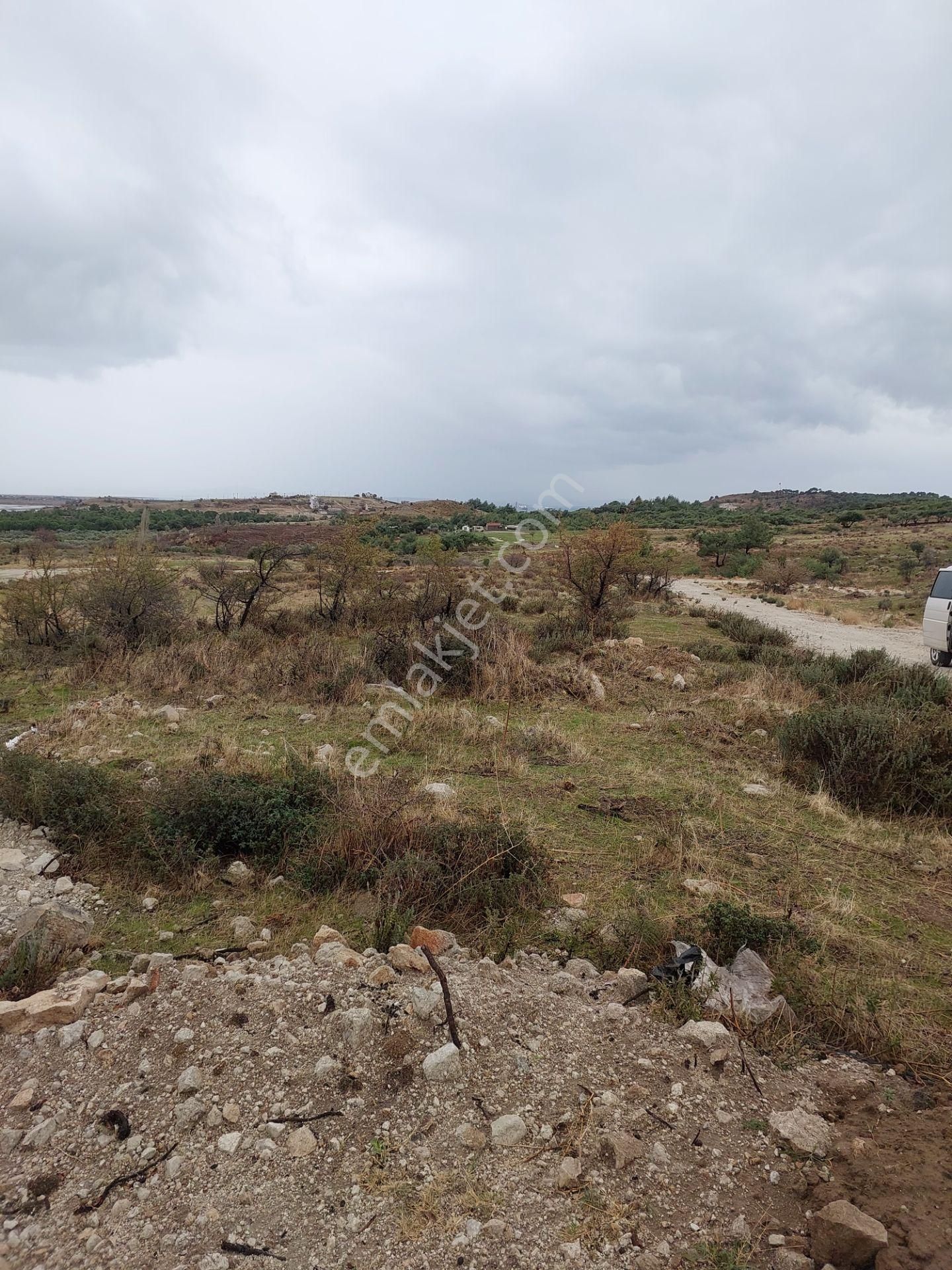 Dikili Çandarlıda Satılık Kooperatif Hisseli 603m2 Arsa - Görsel 10