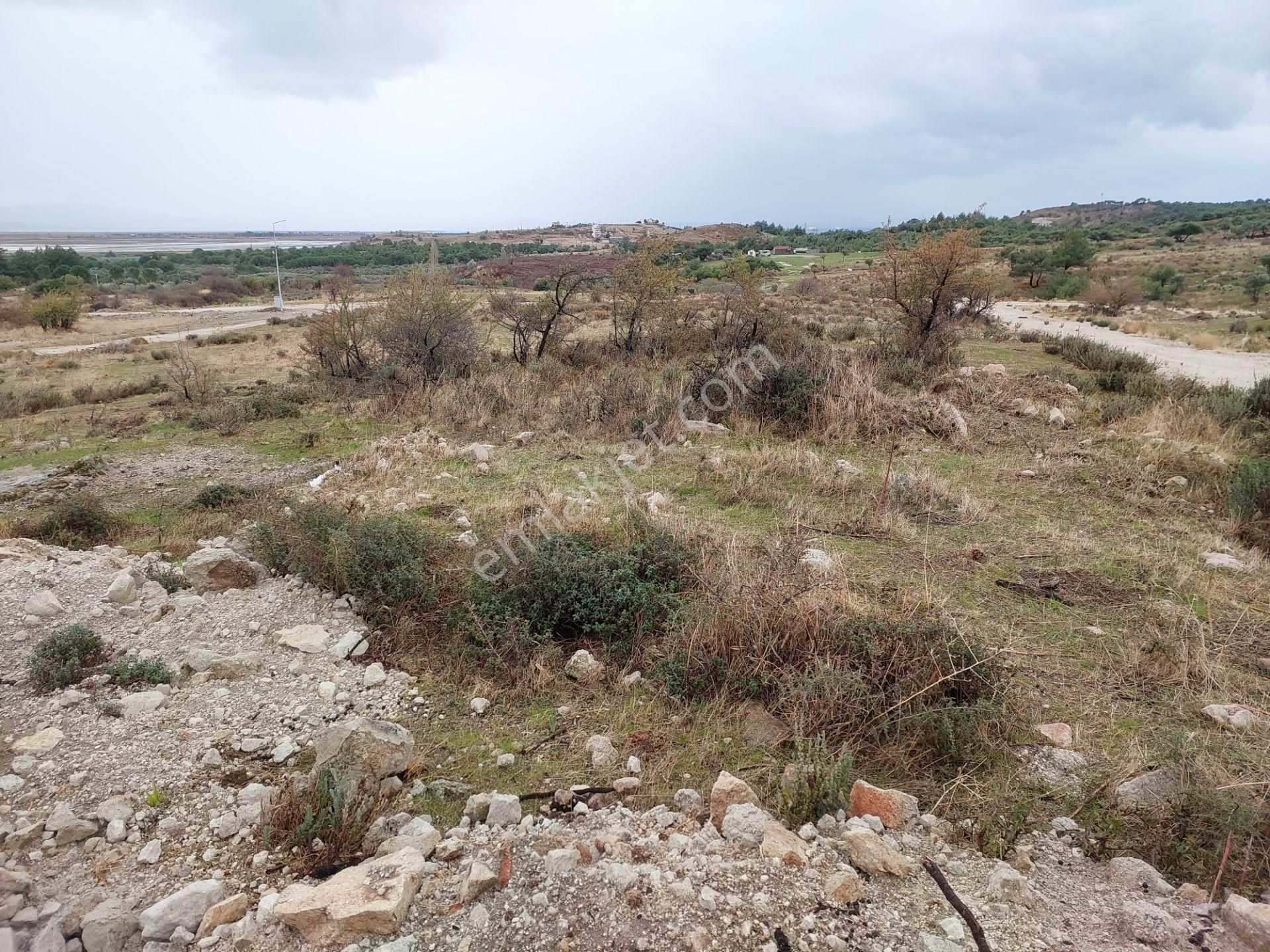 Dikili Çandarlıda Satılık Kooperatif Hisseli 603m2 Arsa - Görsel 8