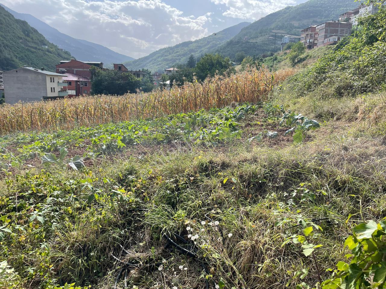 Trabzon Esiroglu Mah. 1.415 M2 Konut+tıcarı