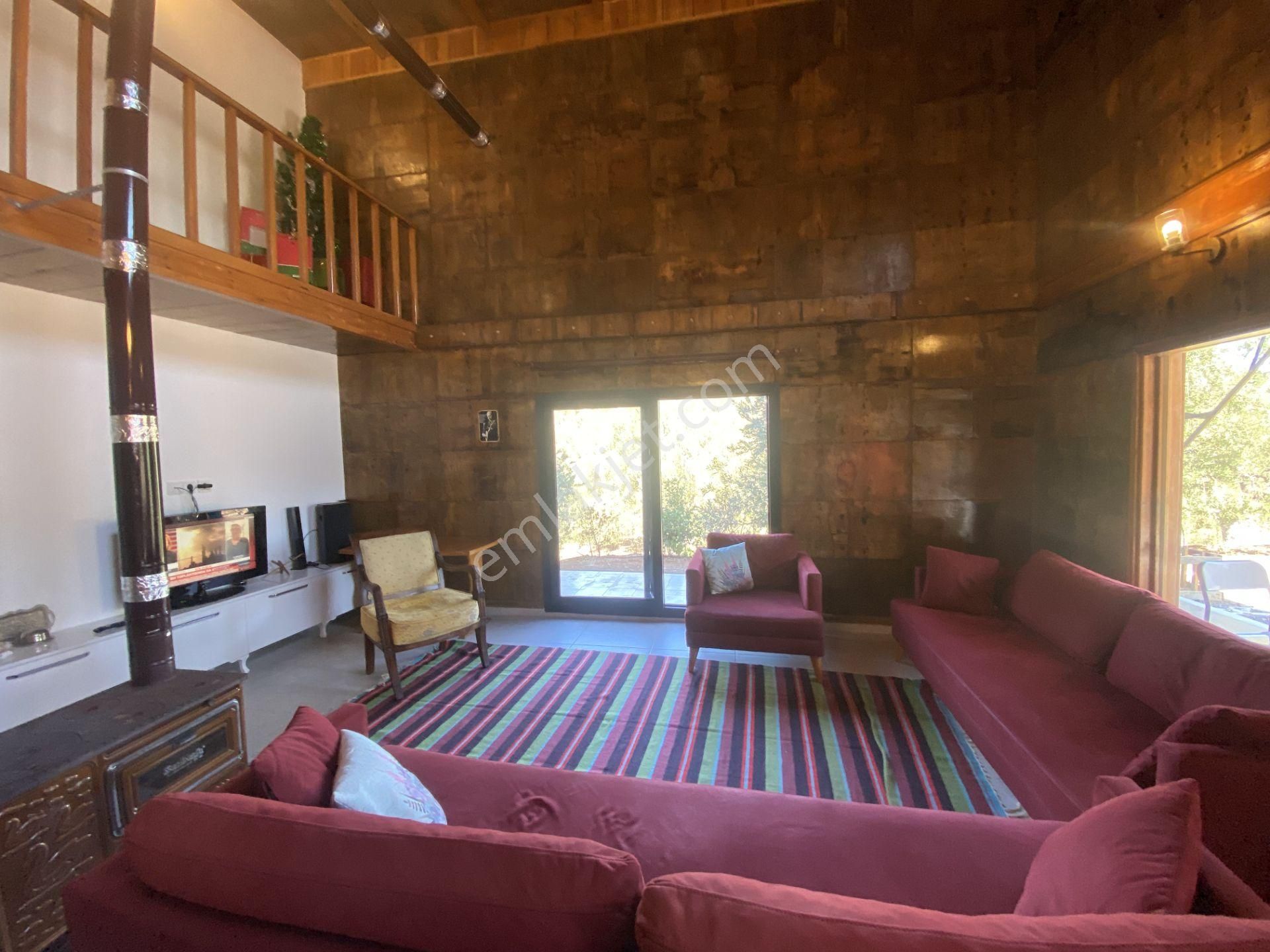 Balıkesir Ayvalık Ta Satılık Ciftlikevi - Görsel 3