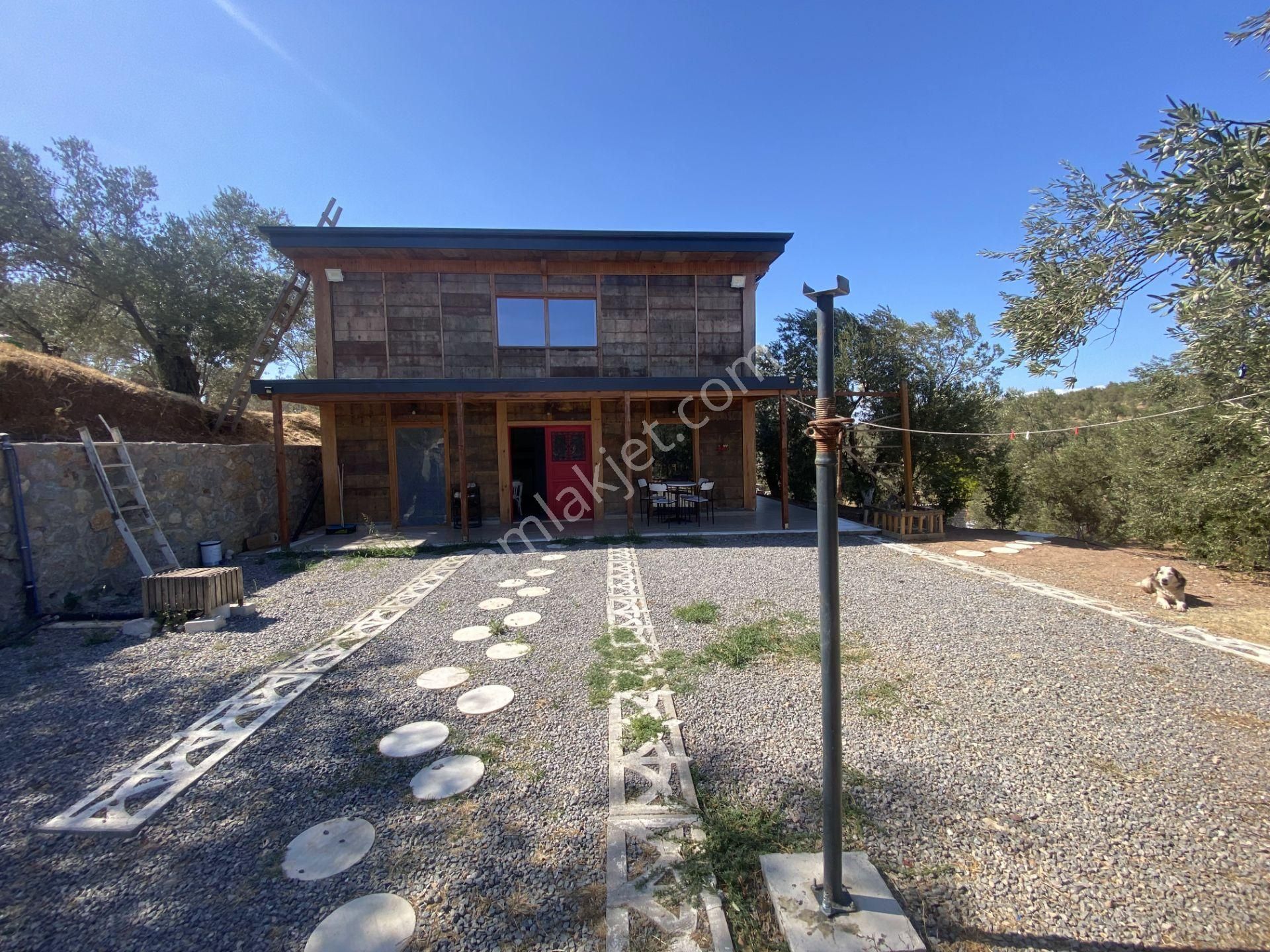 Balıkesir Ayvalık Ta Satılık Ciftlikevi - Görsel 22