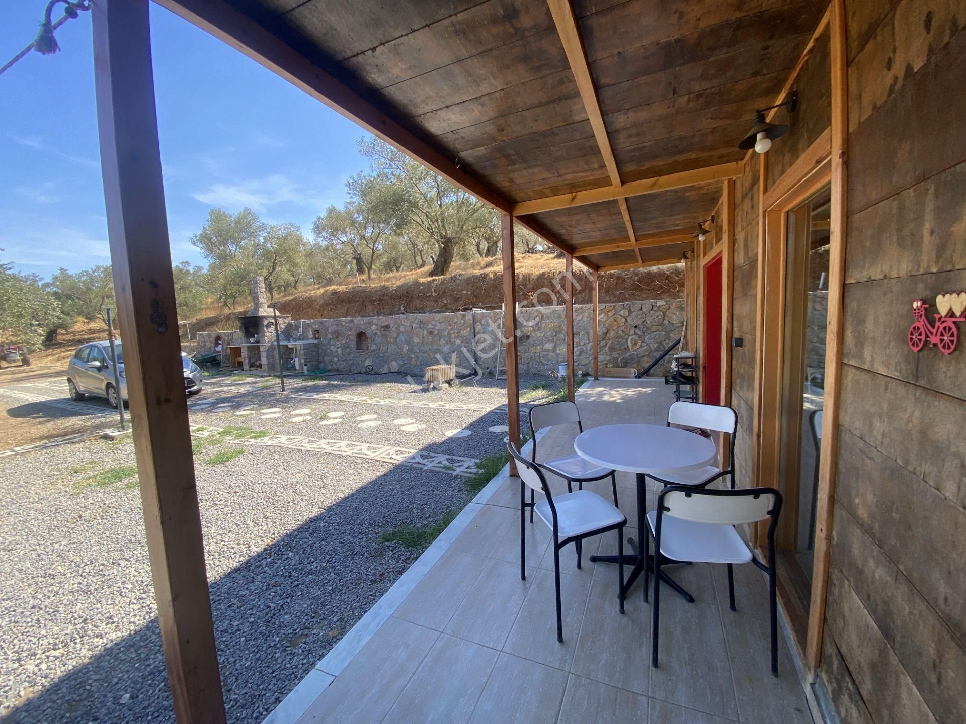 Balıkesir Ayvalık Ta Satılık Ciftlikevi - Görsel 20