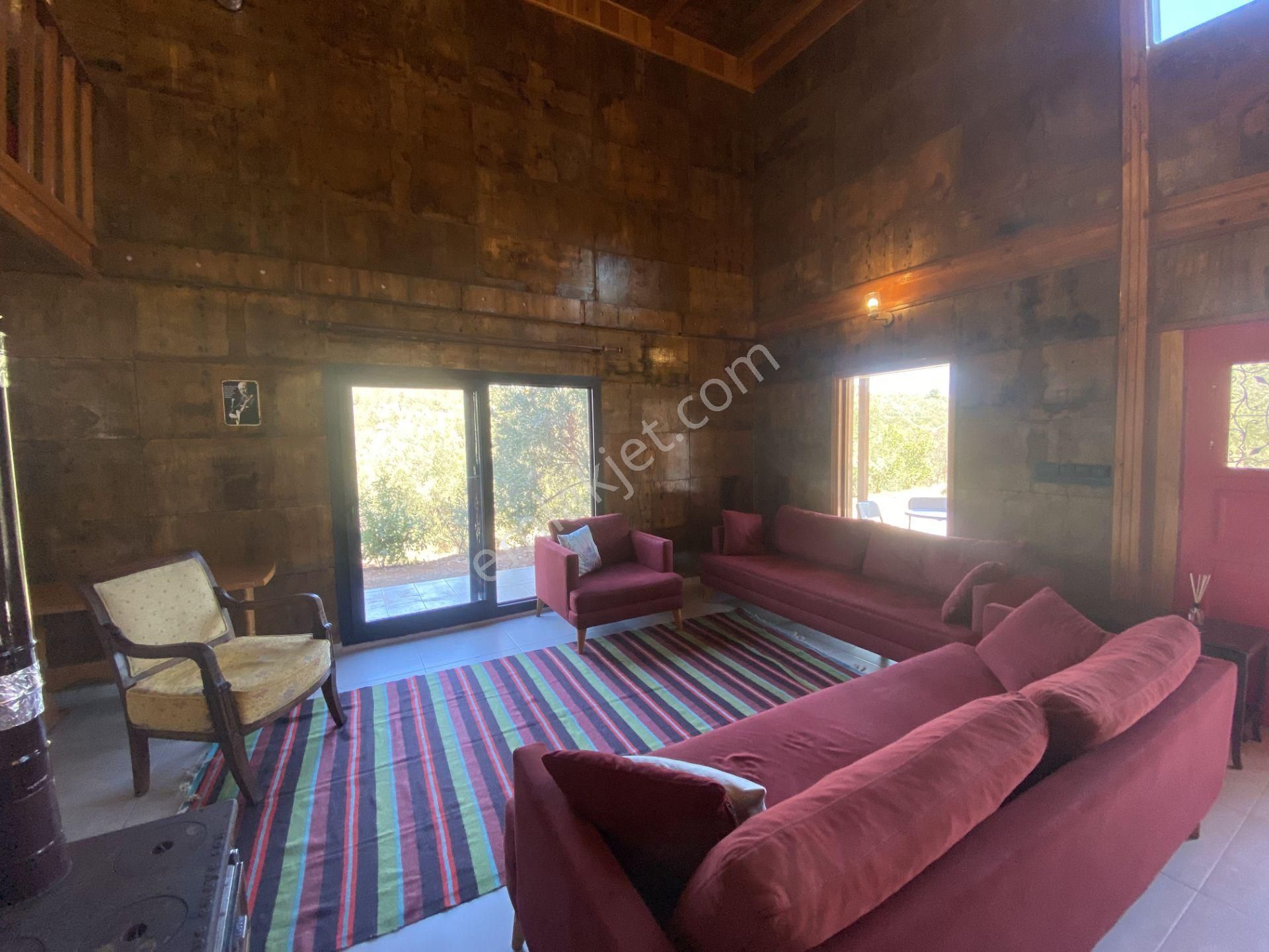 Balıkesir Ayvalık Ta Satılık Ciftlikevi - Görsel 4