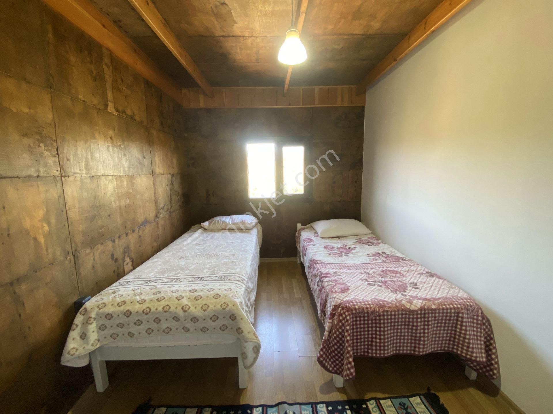 Balıkesir Ayvalık Ta Satılık Ciftlikevi - Görsel 13