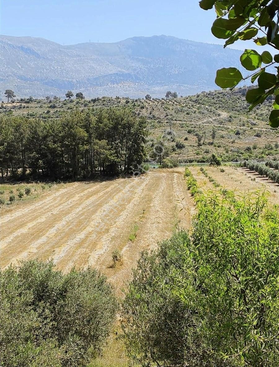 Oyma Pınarı Seki Mahallesi'nde 1600 Metre Hisseli Tarla Satılık - Görsel 5