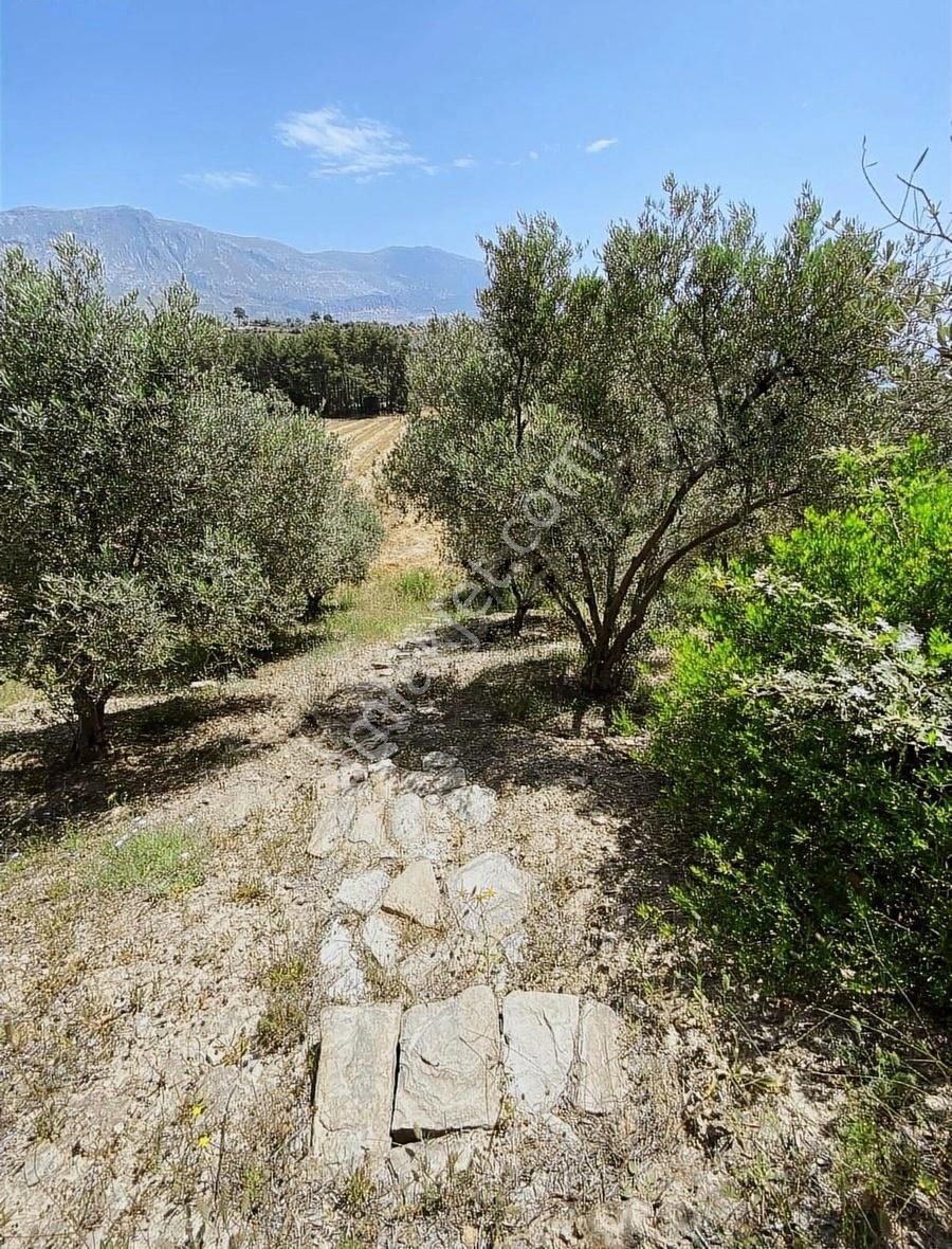 Oyma Pınarı Seki Mahallesi'nde 1600 Metre Hisseli Tarla Satılık - Görsel 4