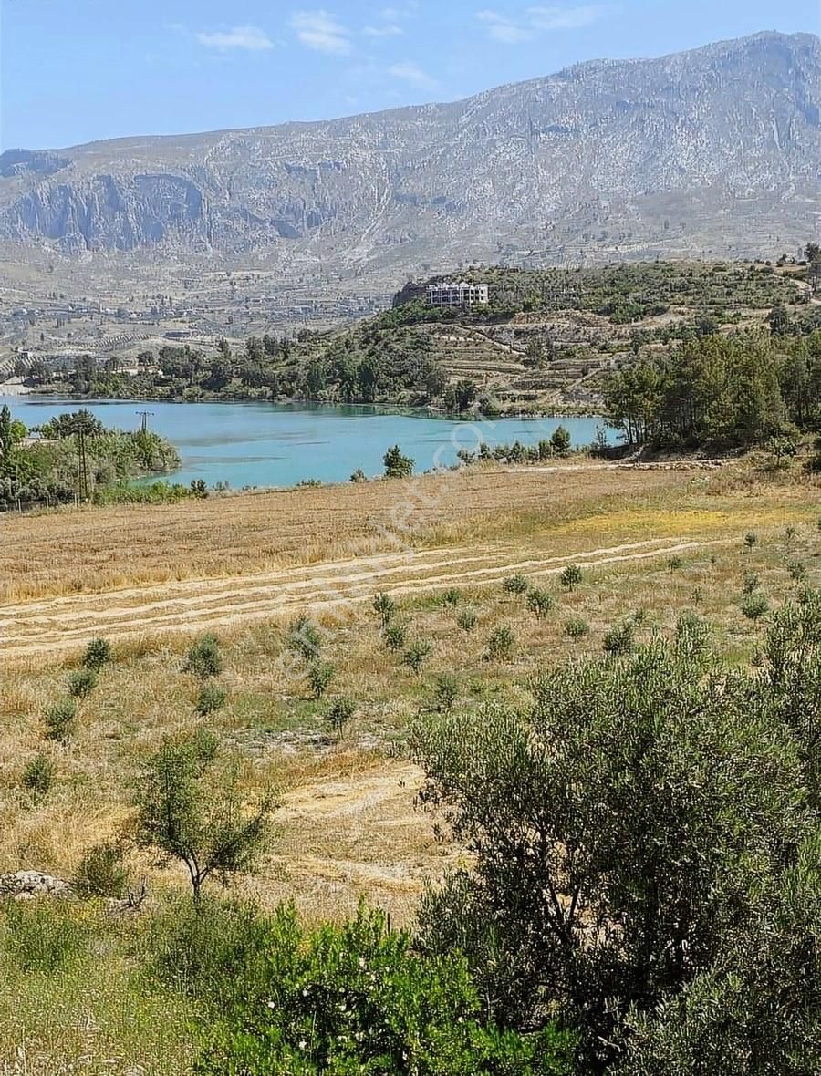 Oyma Pınarı Seki Mahallesi'nde 1600 Metre Hisseli Tarla Satılık - Görsel 7