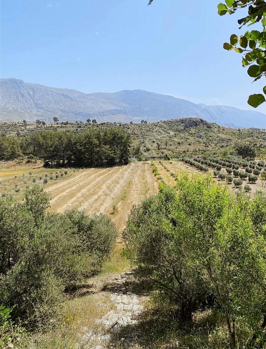 Oyma Pınarı Seki Mahallesi'nde 1600 Metre Hisseli Tarla Satılık - Görsel 9