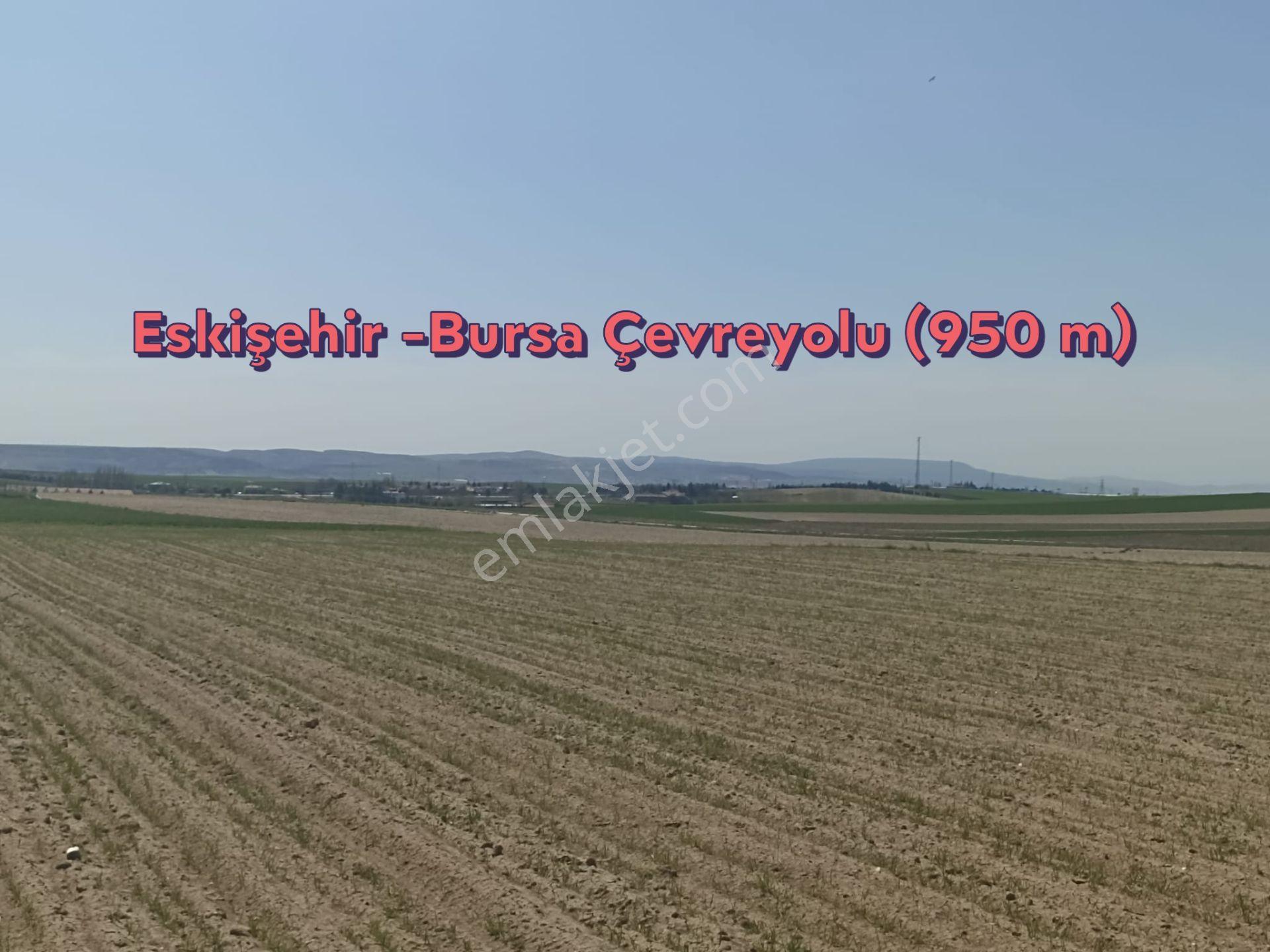 Century 21 Vizyon'dan Yukarısöğütönü Mah. Satılık Arazi - Görsel 10