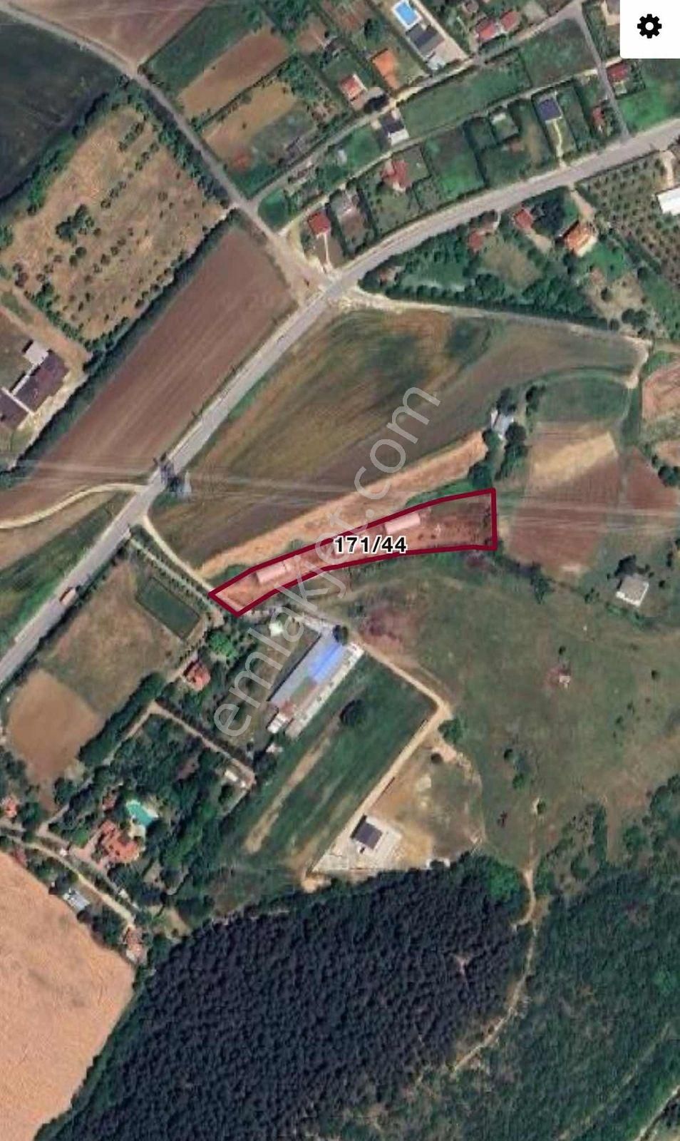 Çatalca İnceğiz 3.443 M² Kiracılı Etrafı Çevrili Tarla - Görsel 2