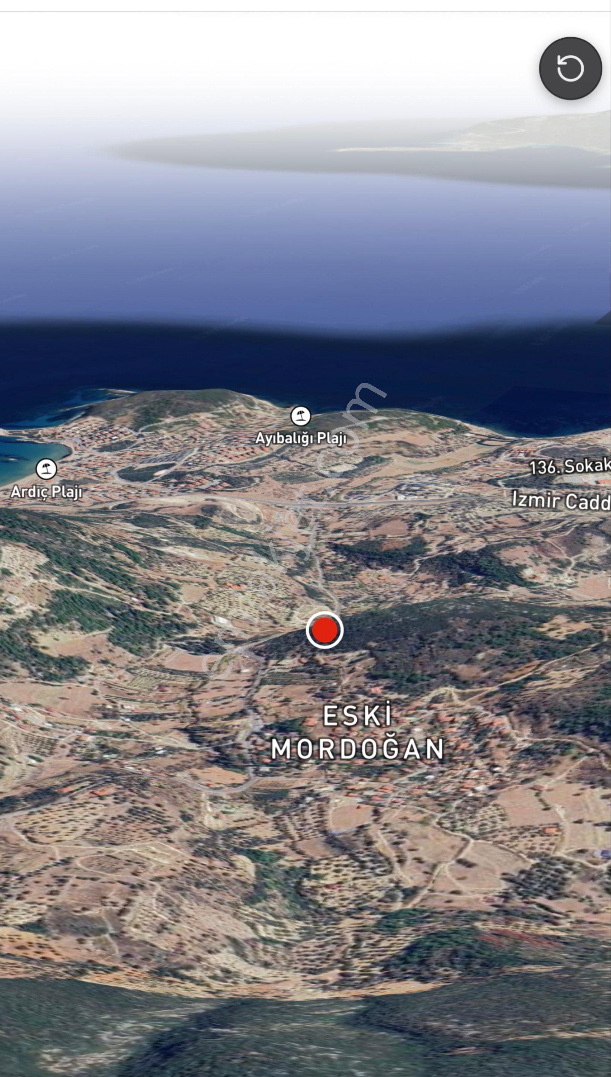Karaburun Mordoğanda 1 Dönüm Kadastrol Asfalt Yol Cepheli Bahçe - Görsel 6