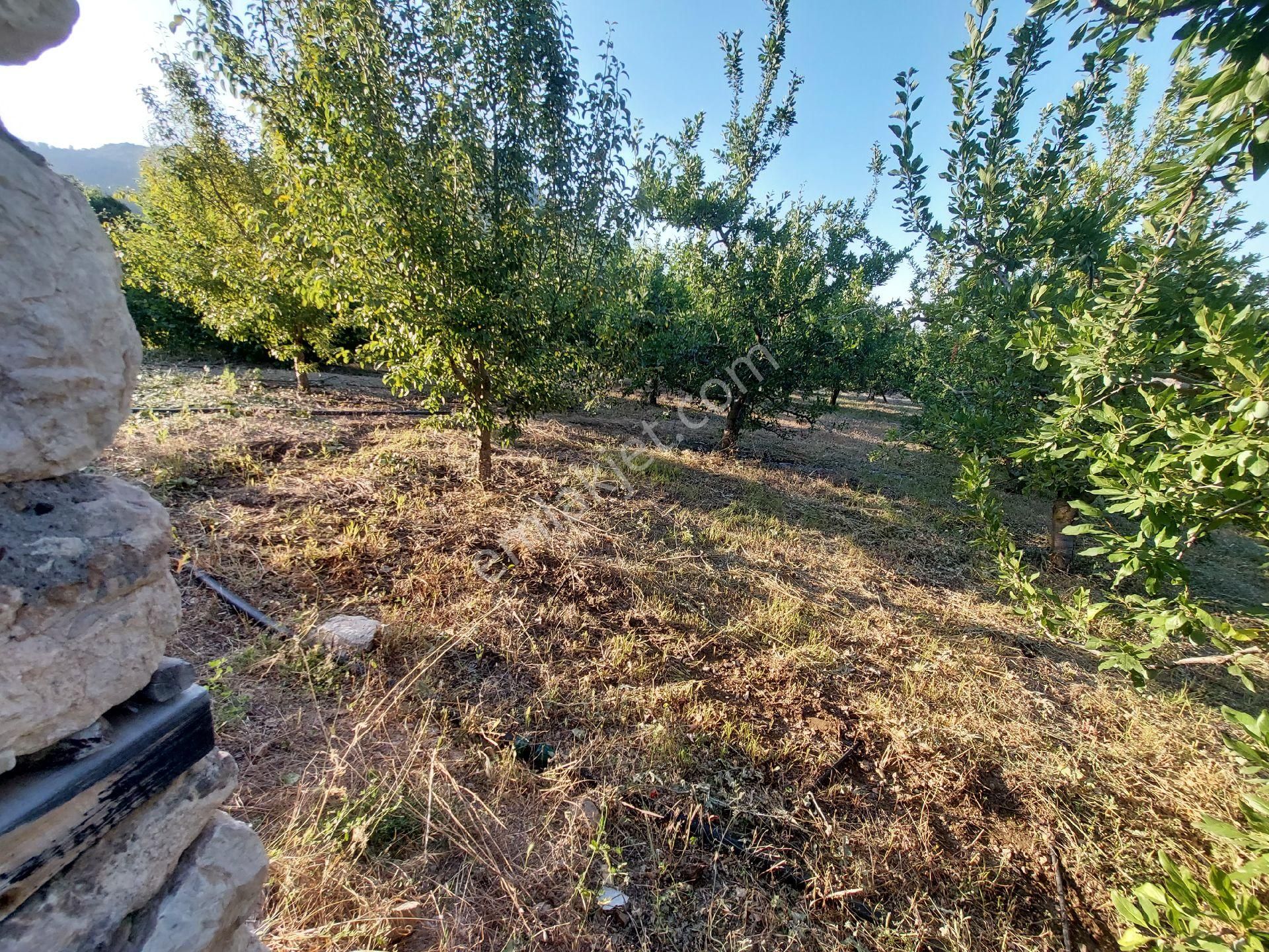 Konyaaltı Doyranda Satılık 5460m2 Tek Tapu Ev Ve Bahçe - Görsel 11