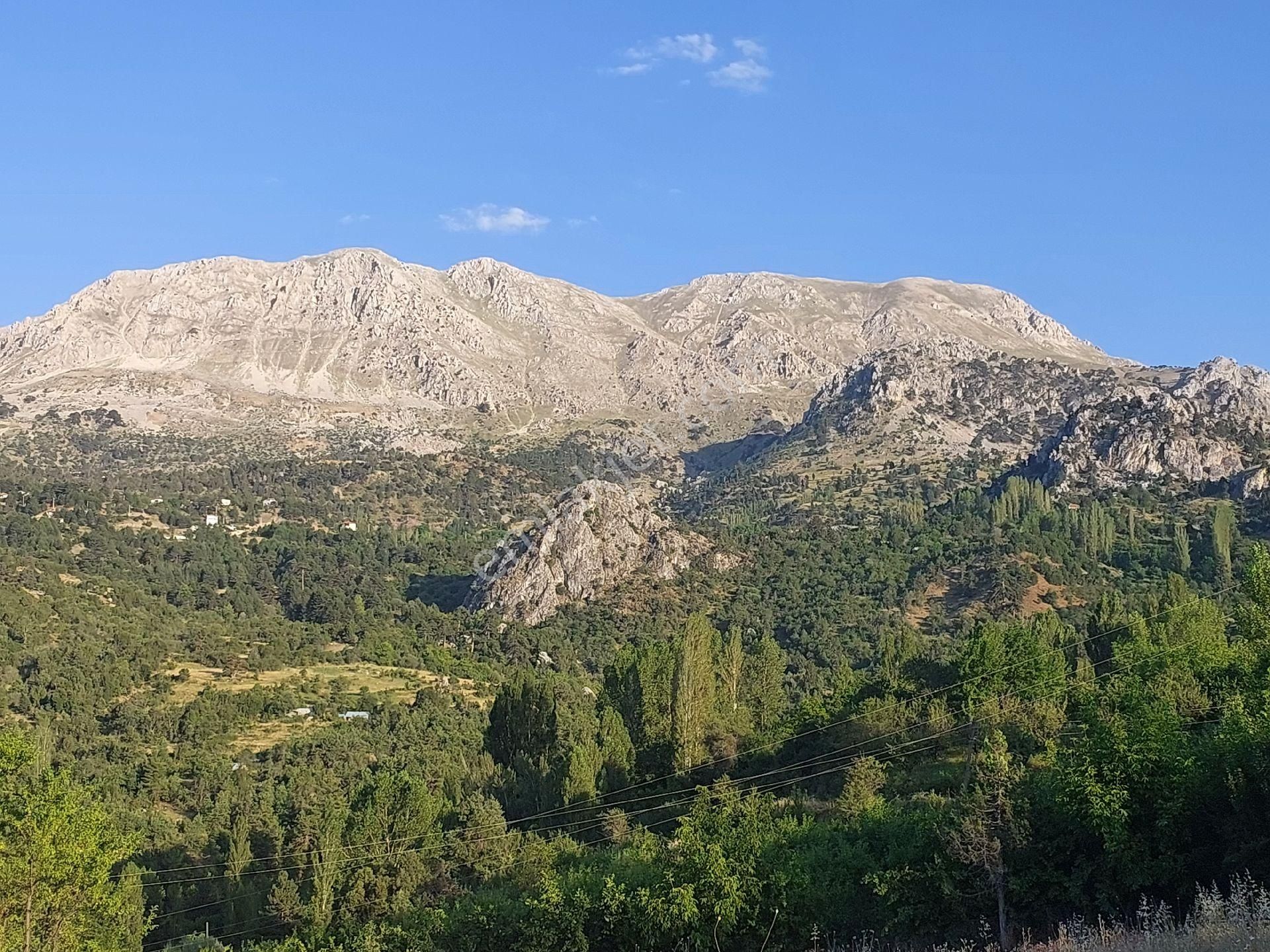 Konyaaltı Doyranda Satılık 5460m2 Tek Tapu Ev Ve Bahçe - Görsel 15