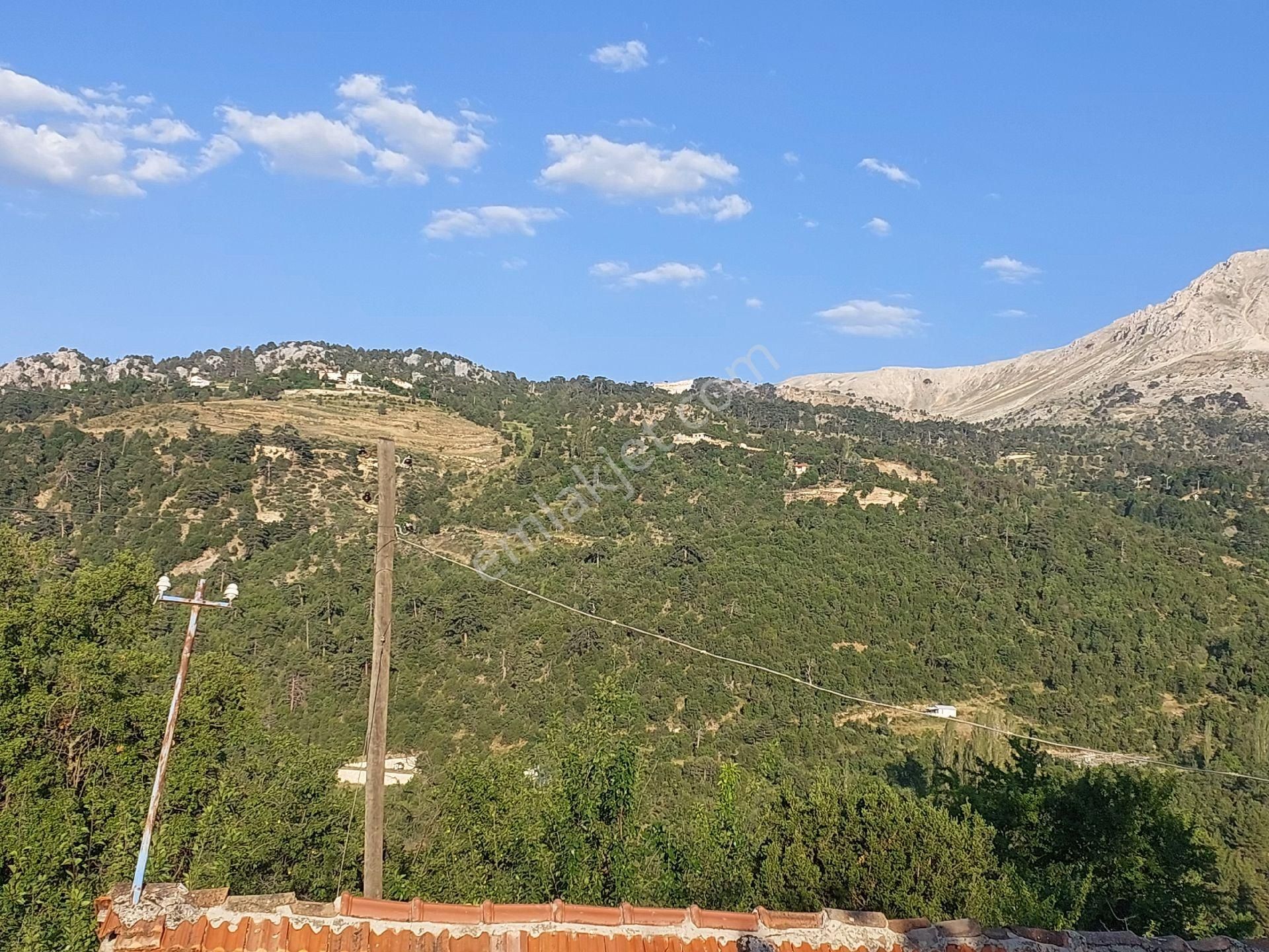 Konyaaltı Doyranda Satılık 5460m2 Tek Tapu Ev Ve Bahçe - Görsel 5