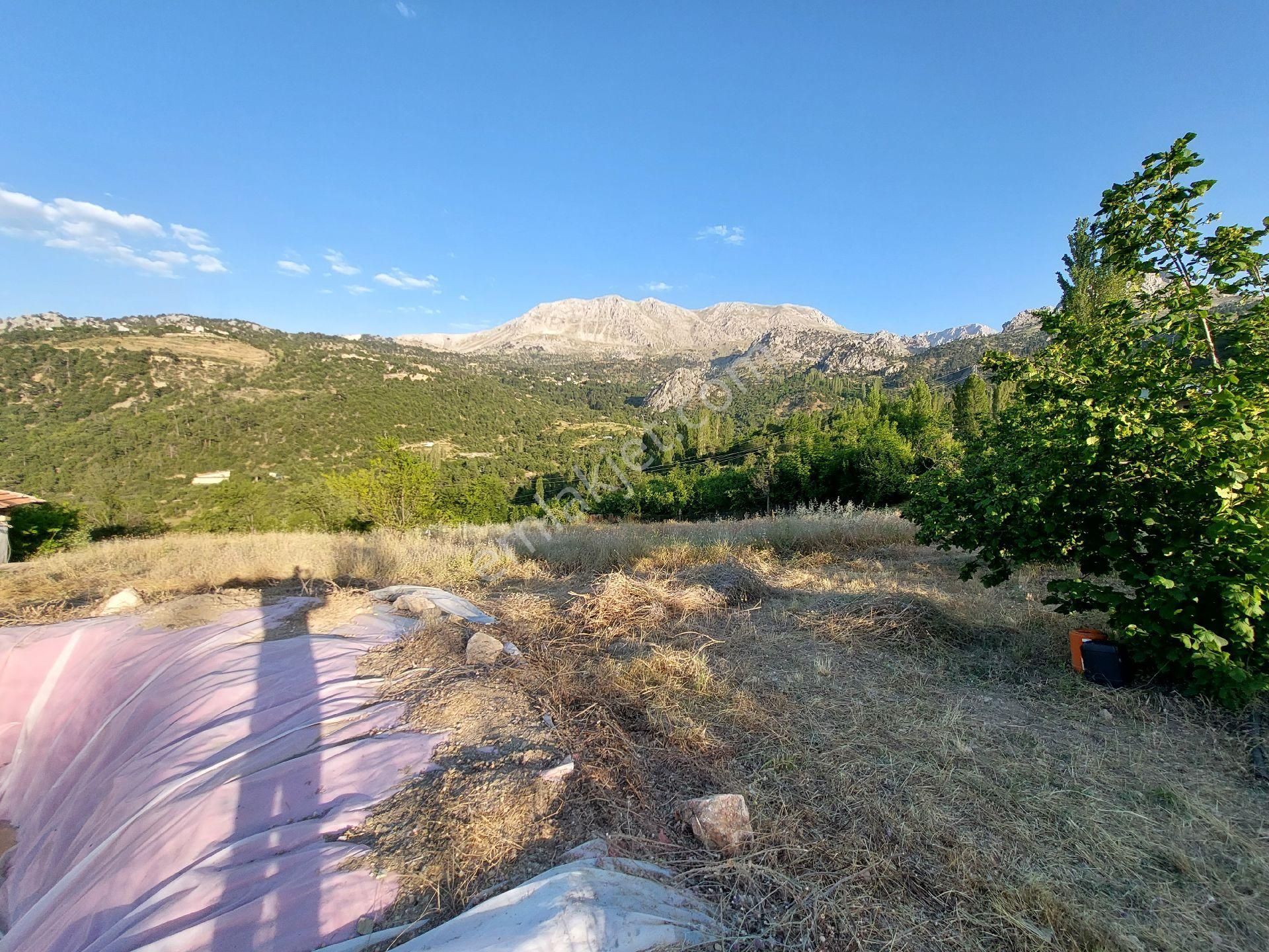 Konyaaltı Doyranda Satılık 5460m2 Tek Tapu Ev Ve Bahçe - Görsel 7