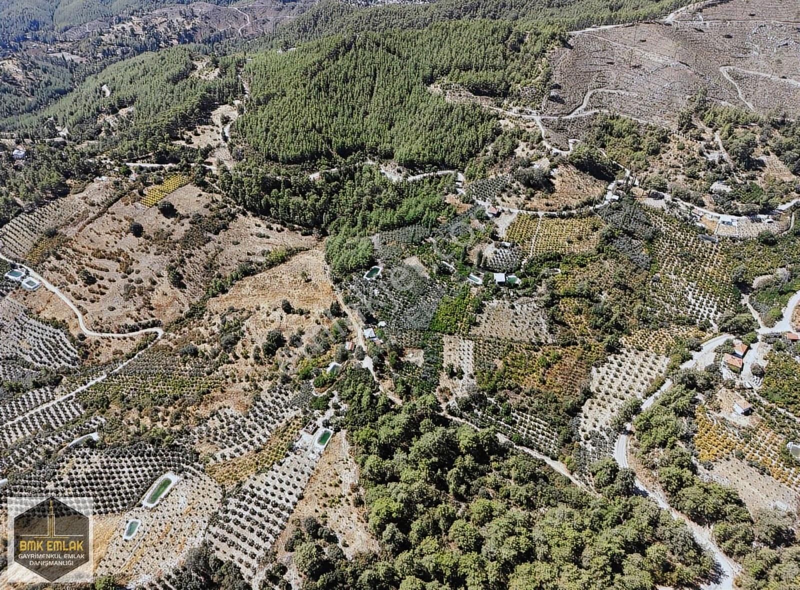 Bmkdan Kumluca Karacaörende Satılık 7 Dönüm Bahçe - Görsel 17