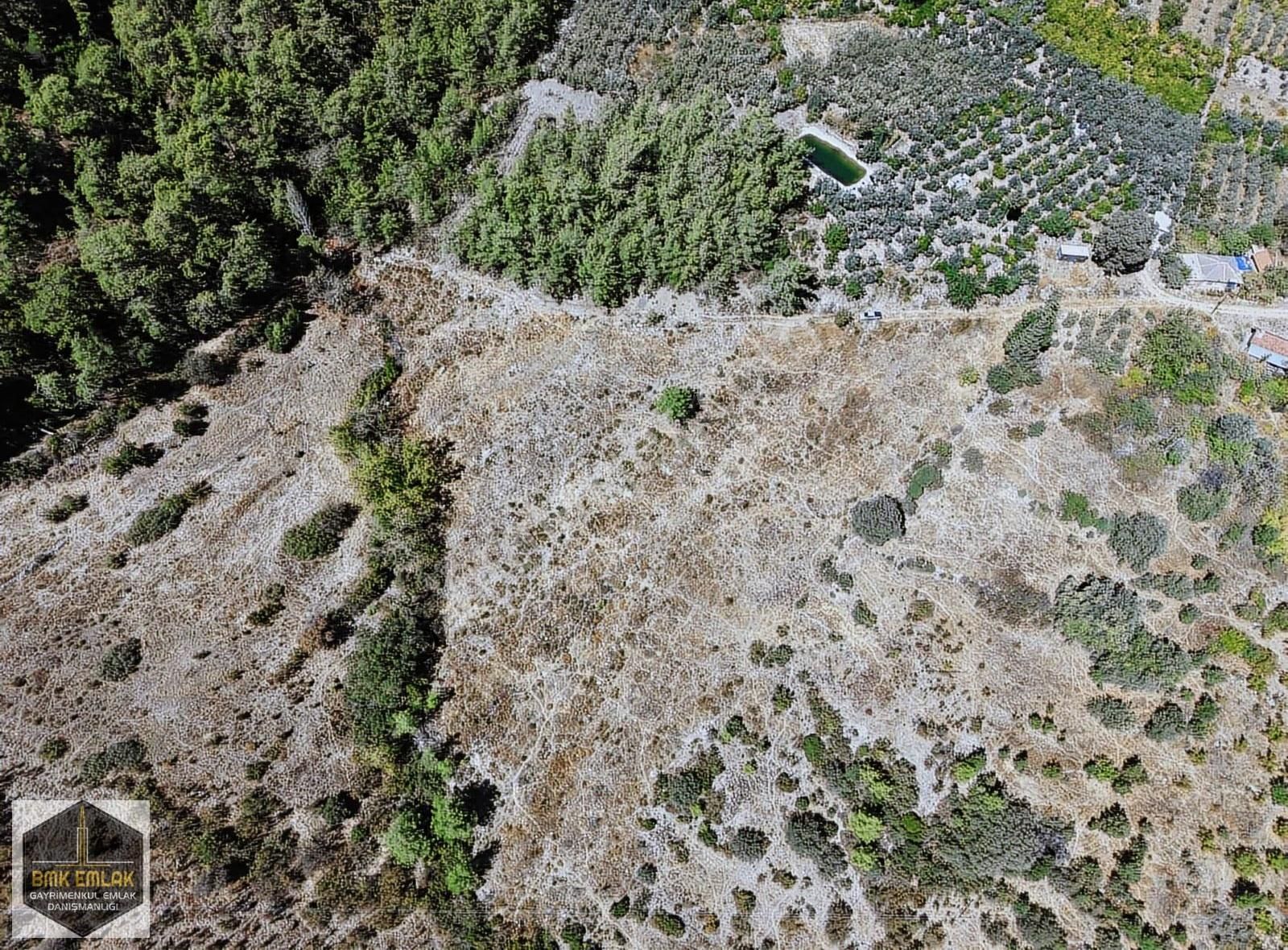 Bmkdan Kumluca Karacaörende Satılık 7 Dönüm Bahçe - Görsel 6