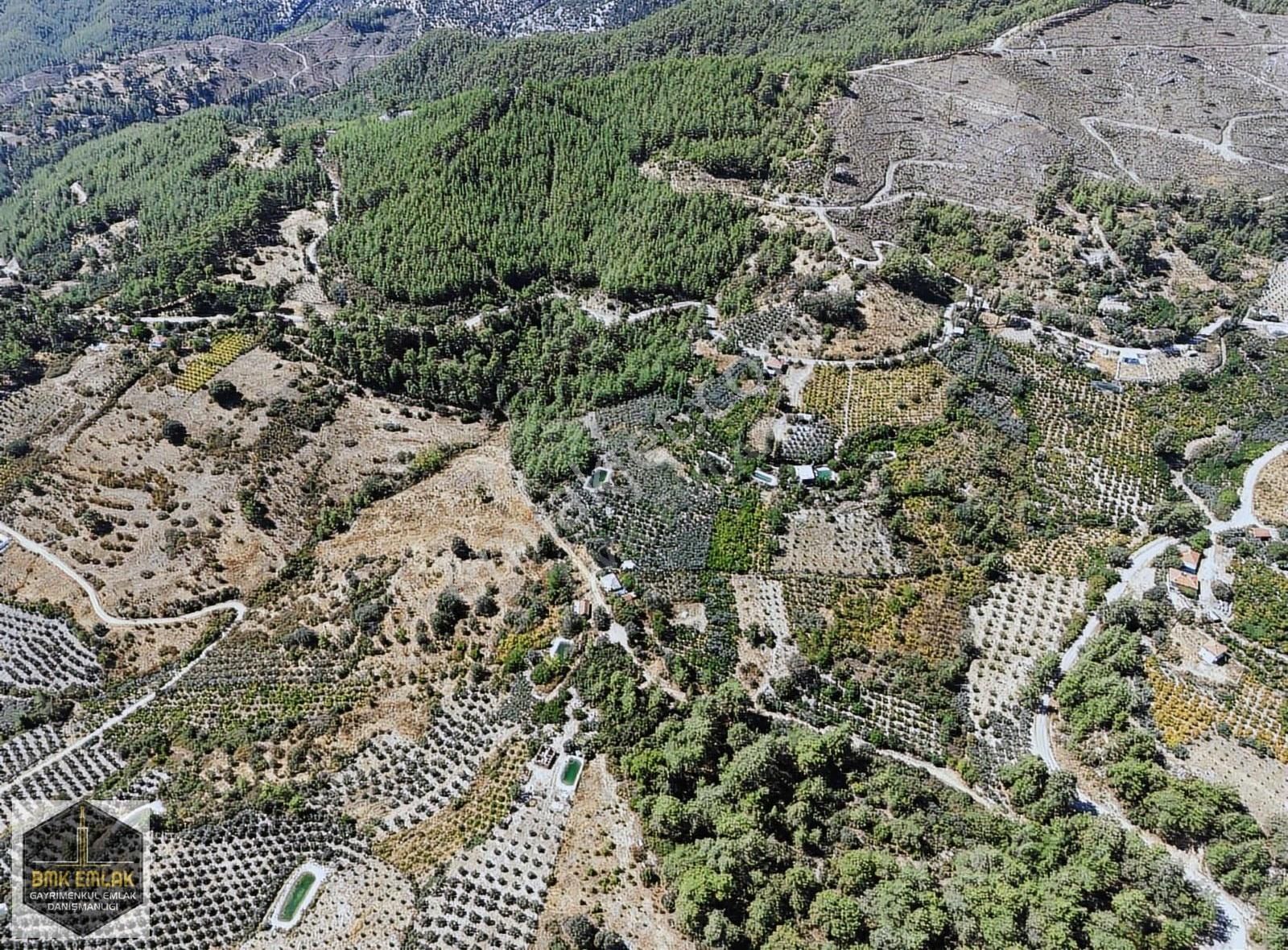 Bmkdan Kumluca Karacaörende Satılık 7 Dönüm Bahçe - Görsel 34