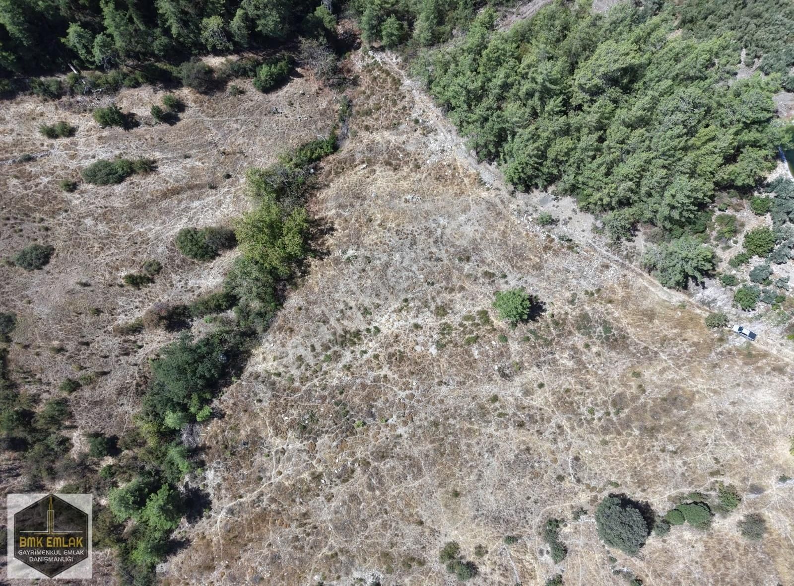 Bmkdan Kumluca Karacaörende Satılık 7 Dönüm Bahçe - Görsel 26
