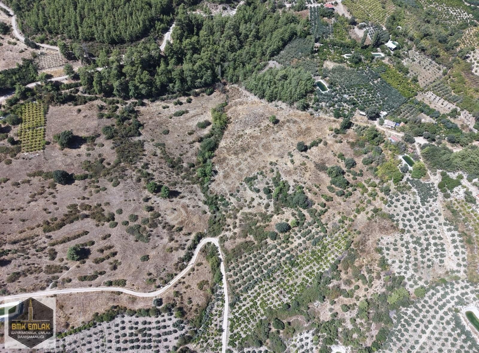 Bmkdan Kumluca Karacaörende Satılık 7 Dönüm Bahçe - Görsel 22