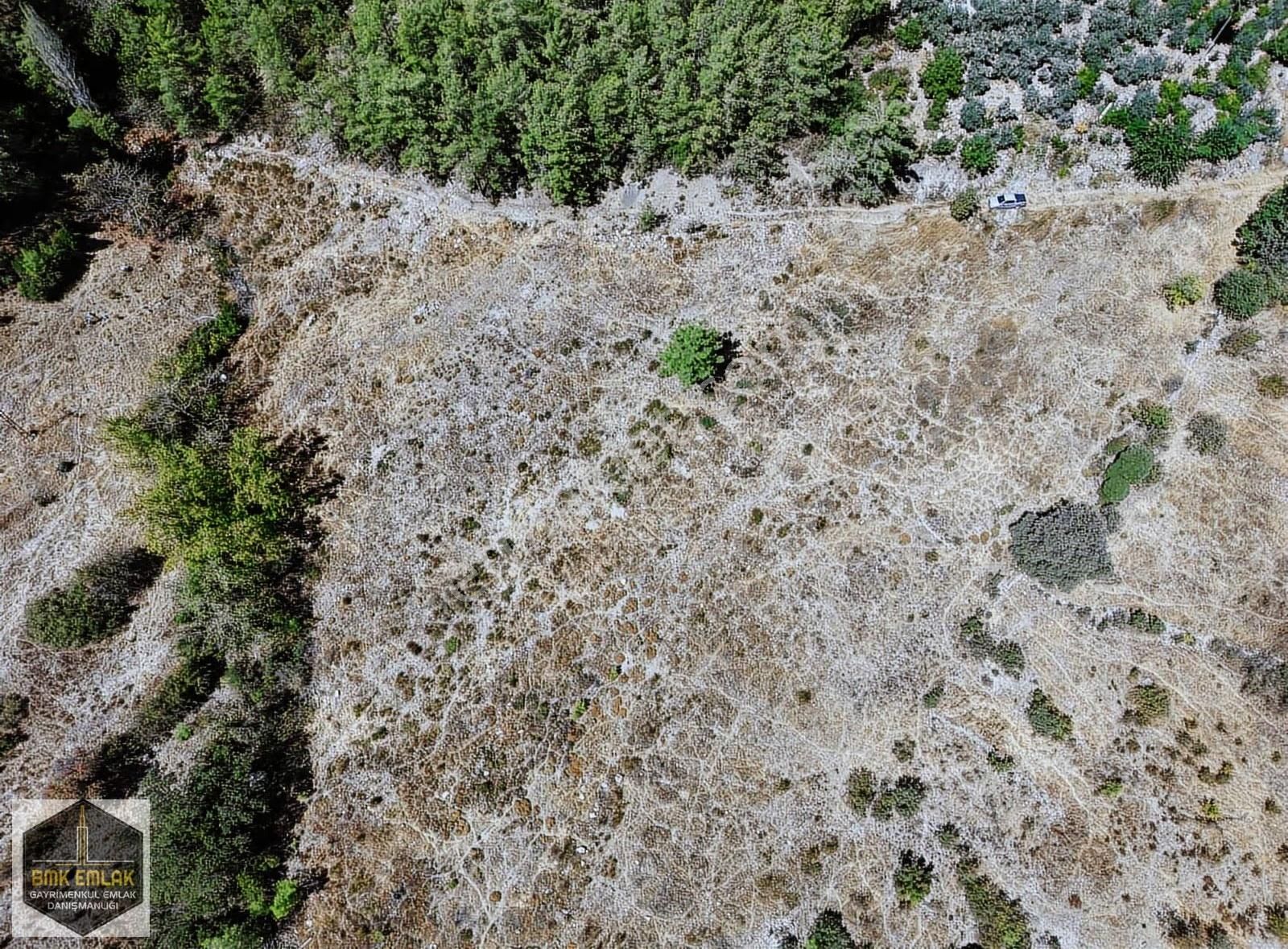 Bmkdan Kumluca Karacaörende Satılık 7 Dönüm Bahçe - Görsel 12