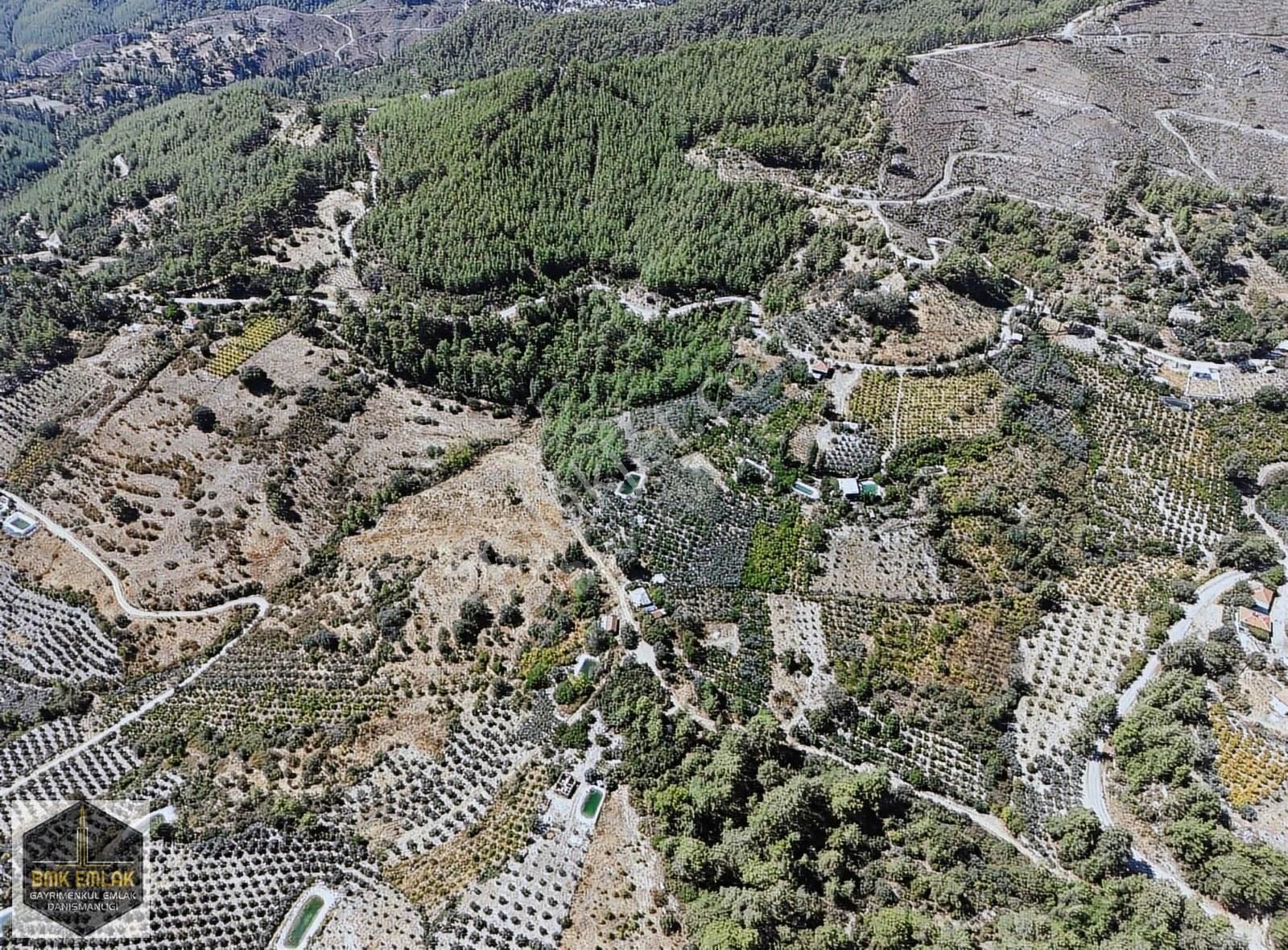 Bmkdan Kumluca Karacaörende Satılık 7 Dönüm Bahçe - Görsel 25