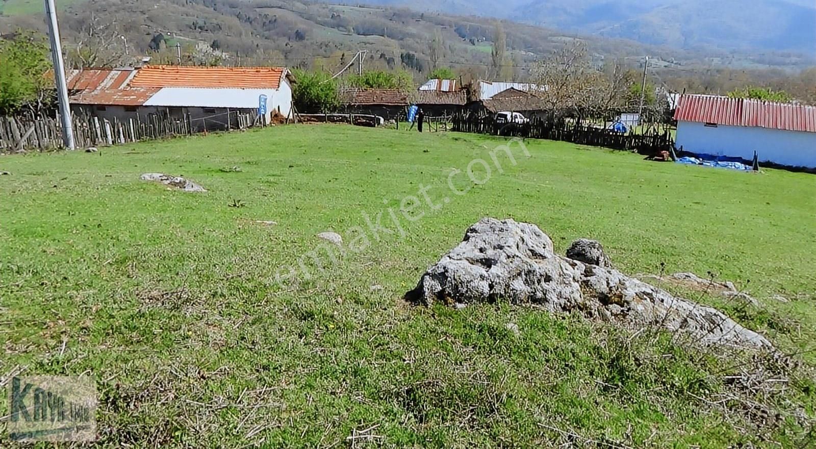 Kazdağladında 3 Adet İmarlı Arsa - Görsel 6