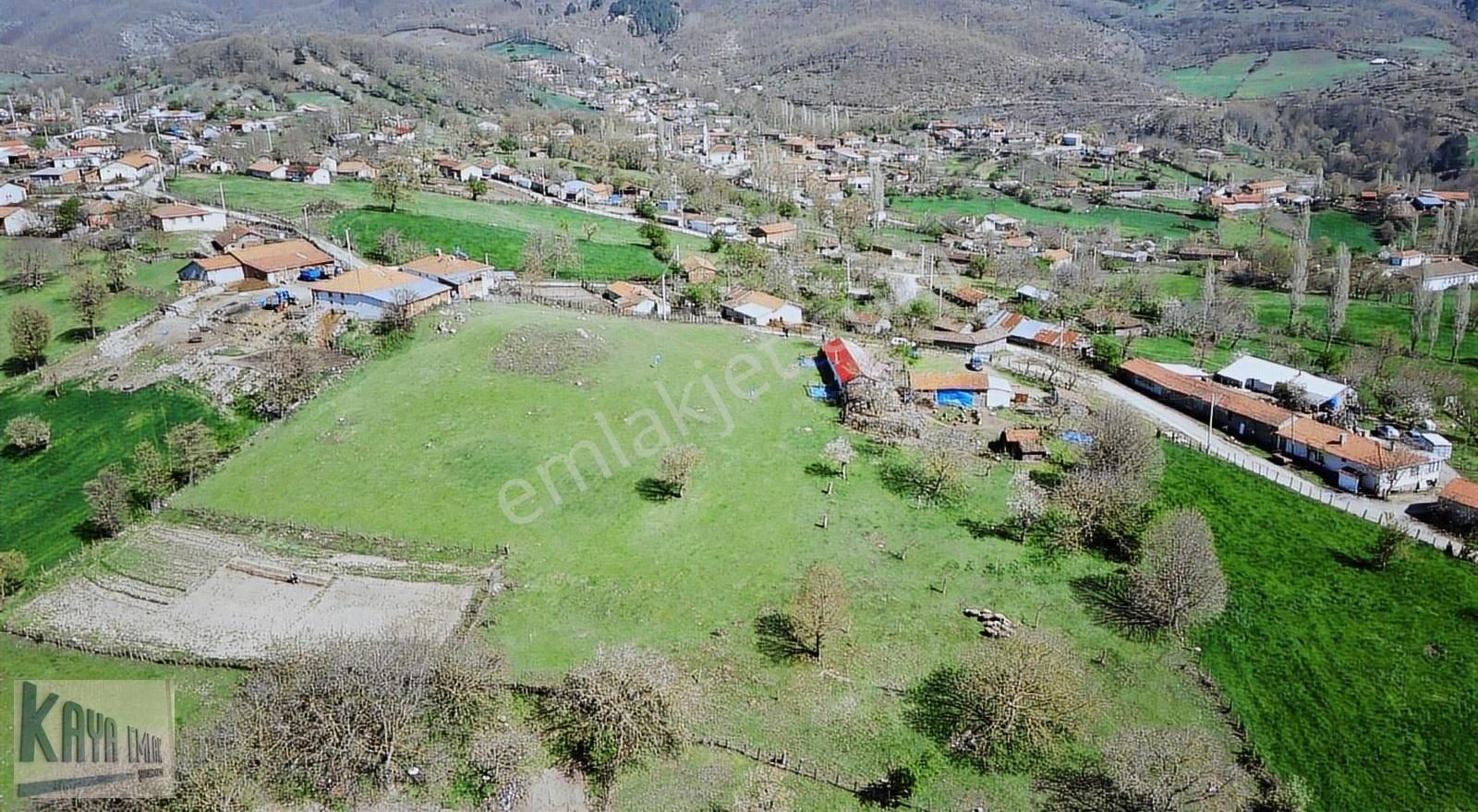 Kazdağladında 3 Adet İmarlı Arsa - Görsel 8