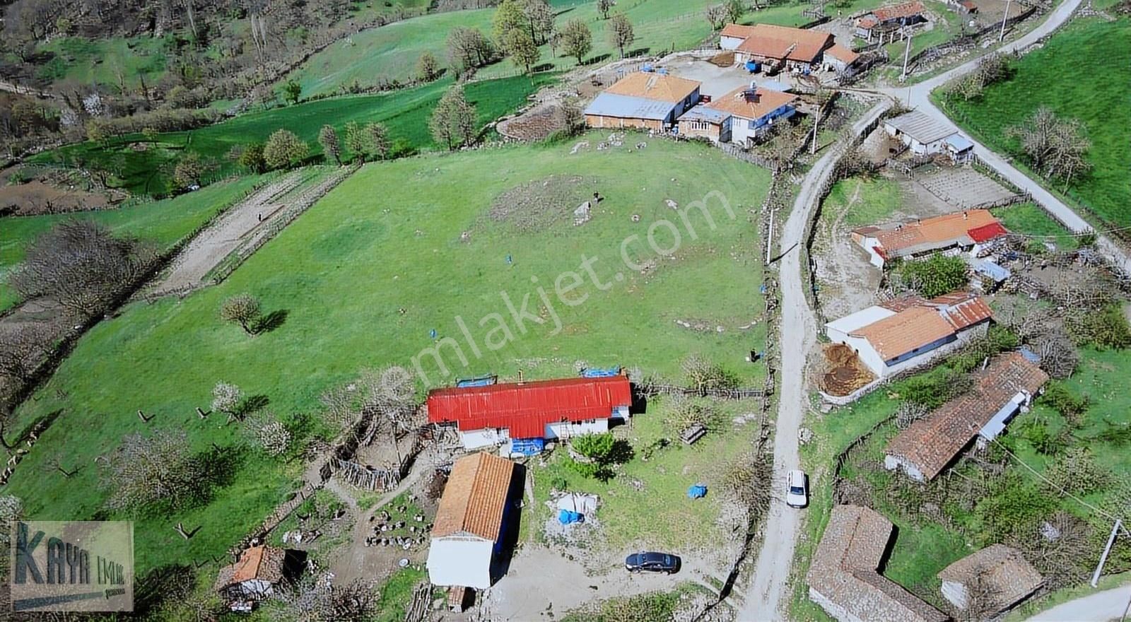 Kazdağladında 3 Adet İmarlı Arsa - Görsel 9