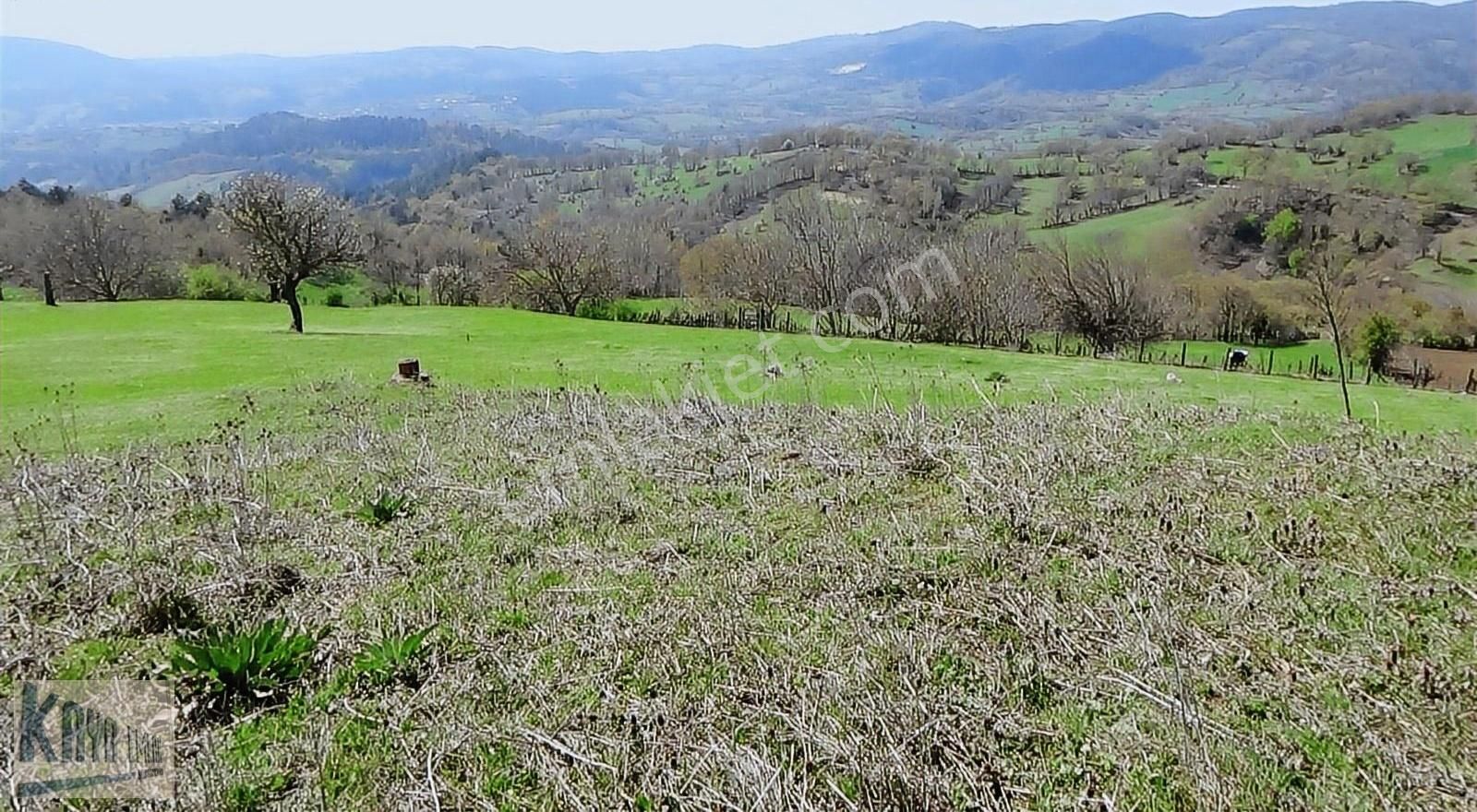 Kazdağladında 3 Adet İmarlı Arsa - Görsel 18