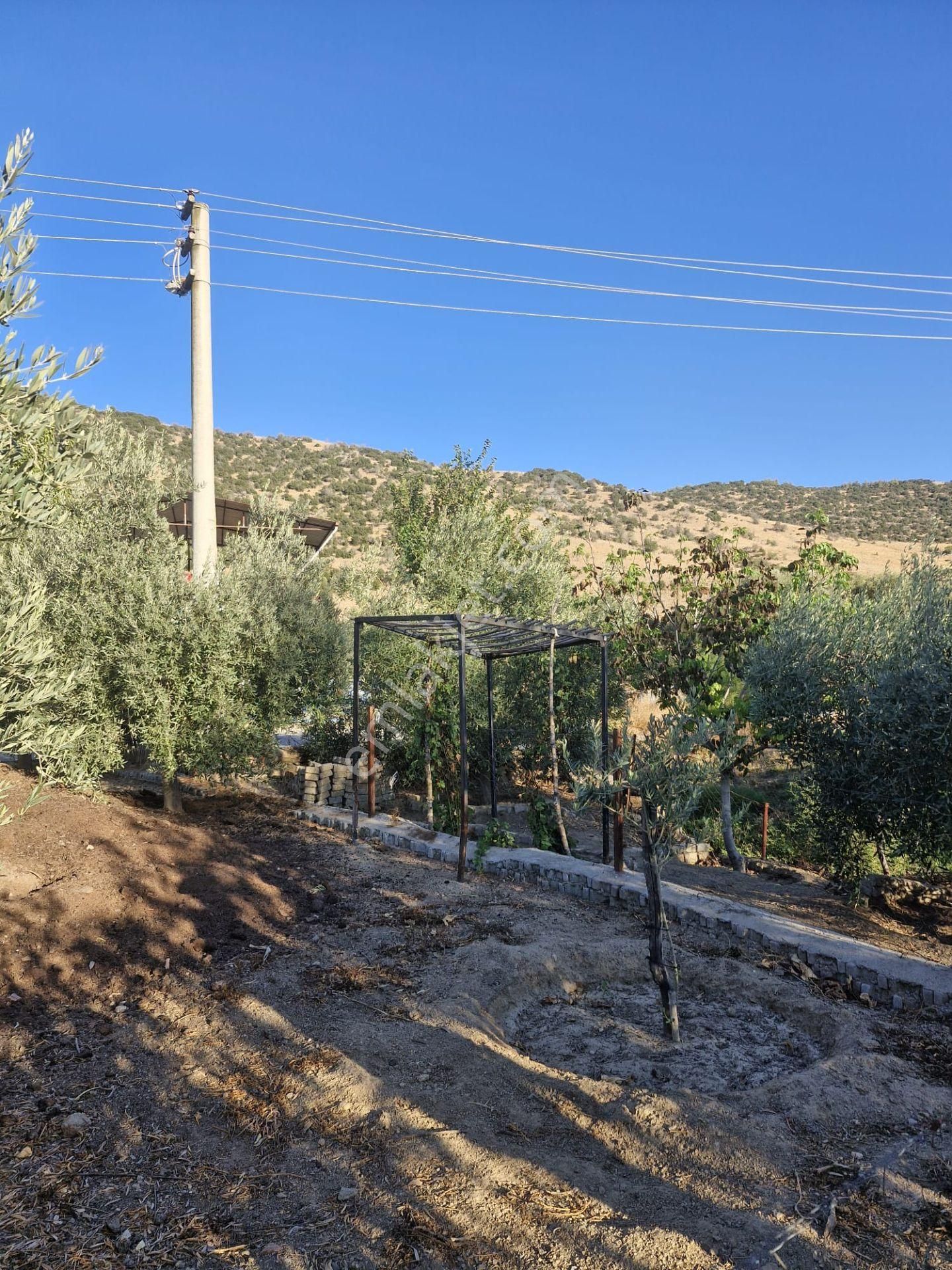 Satılık Müstakil Ev Ve Arsası - Görsel 21