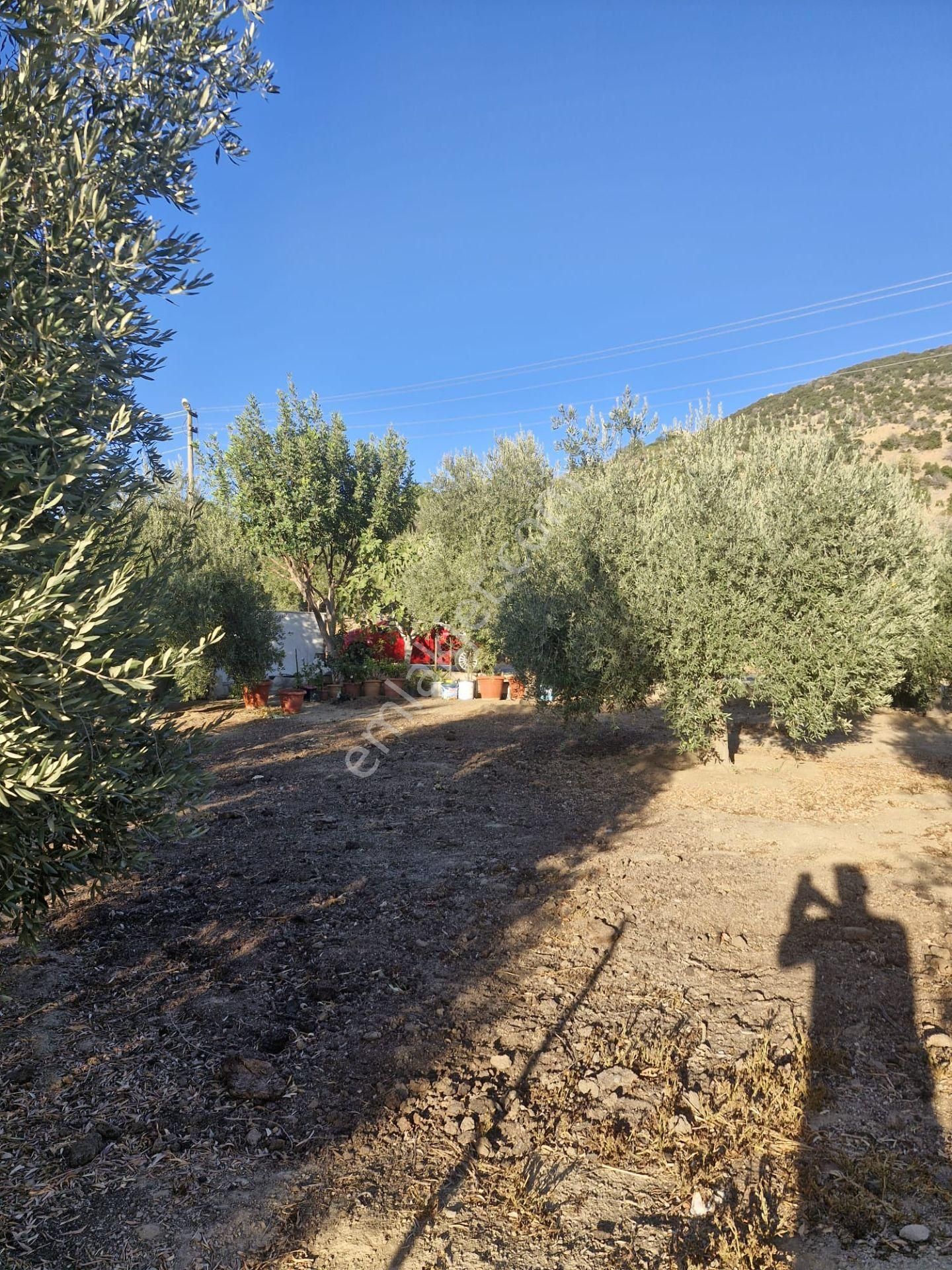 Satılık Müstakil Ev Ve Arsası - Görsel 28