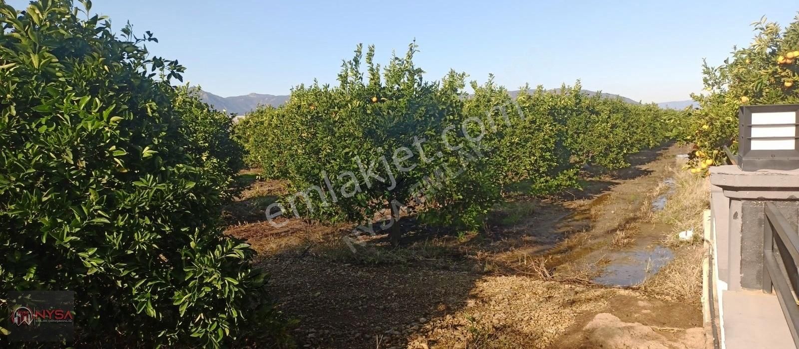 Nysa Emlak'tan Eskiköy Mh Satılık Havuzlu Villa - Görsel 12