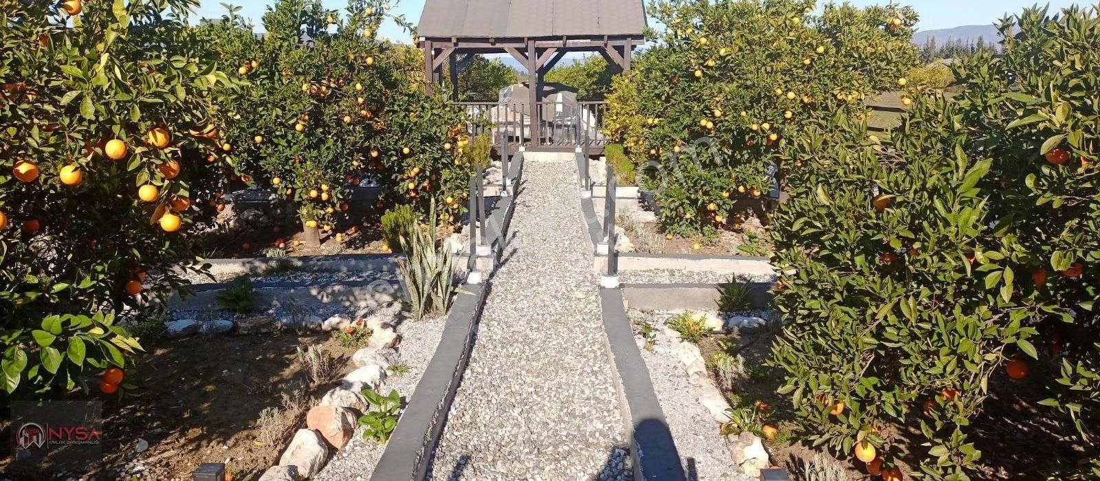 Nysa Emlak'tan Eskiköy Mh Satılık Havuzlu Villa - Görsel 5