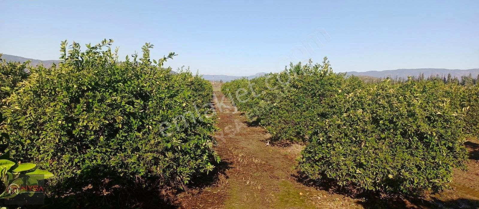 Nysa Emlak'tan Eskiköy Mh Satılık Havuzlu Villa - Görsel 26