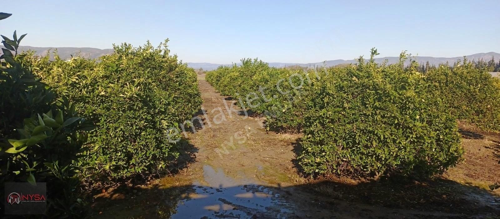 Nysa Emlak'tan Eskiköy Mh Satılık Havuzlu Villa - Görsel 32