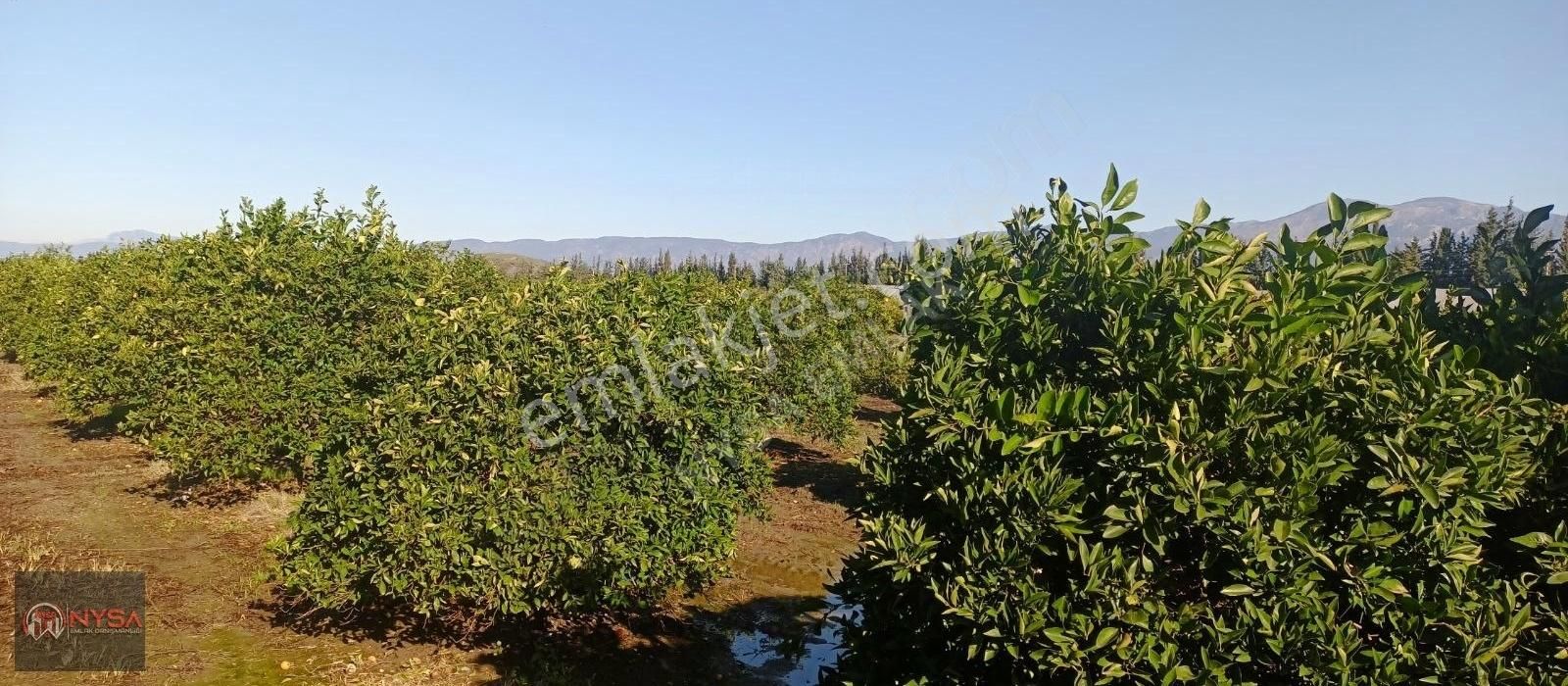 Nysa Emlak'tan Eskiköy Mh Satılık Havuzlu Villa - Görsel 23