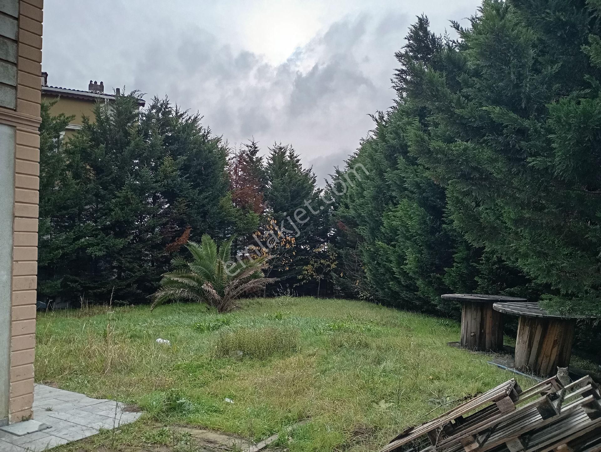 Osmanlı Konakları'nda Kiralık Villa - Görsel 4