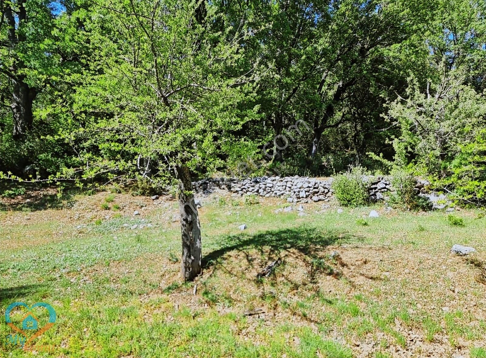 Mykonut'tan Nif 'te 5.783 M2. Köyiçi İmarlı Satılık Tarla - Görsel 16